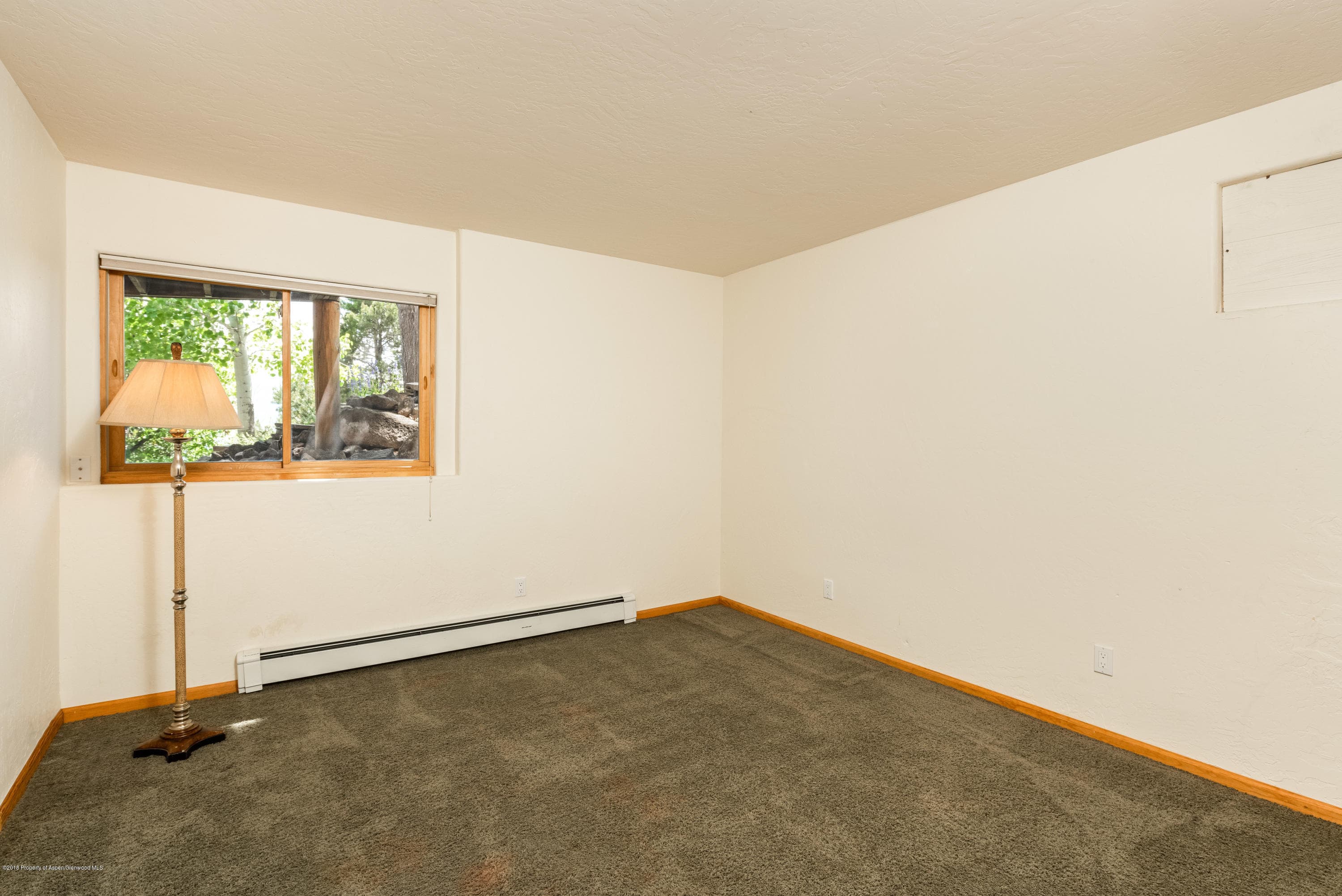 232 Caballo, Carbondale, CO 81623 - Photo 14