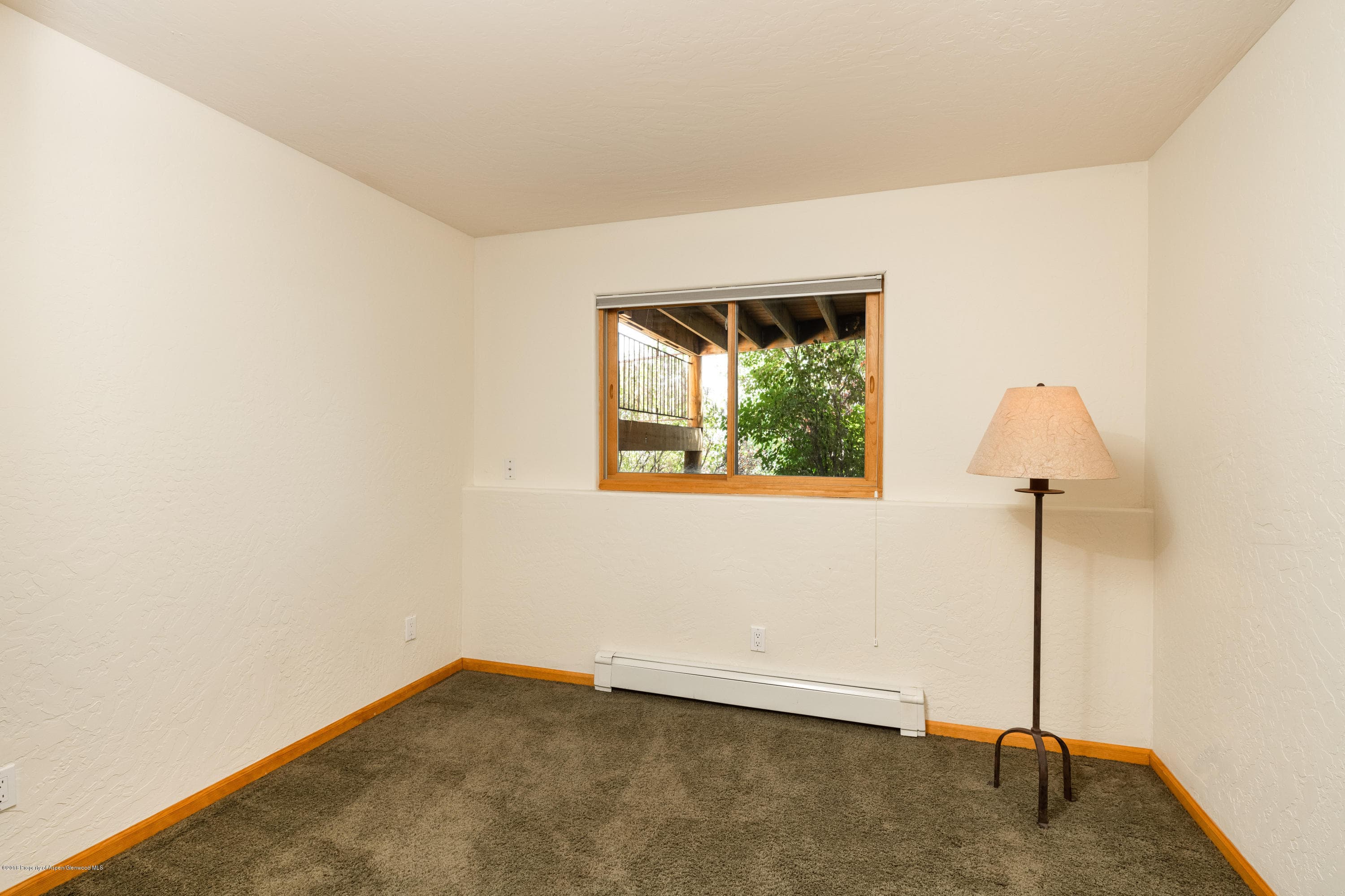 232 Caballo, Carbondale, CO 81623 - Photo 16
