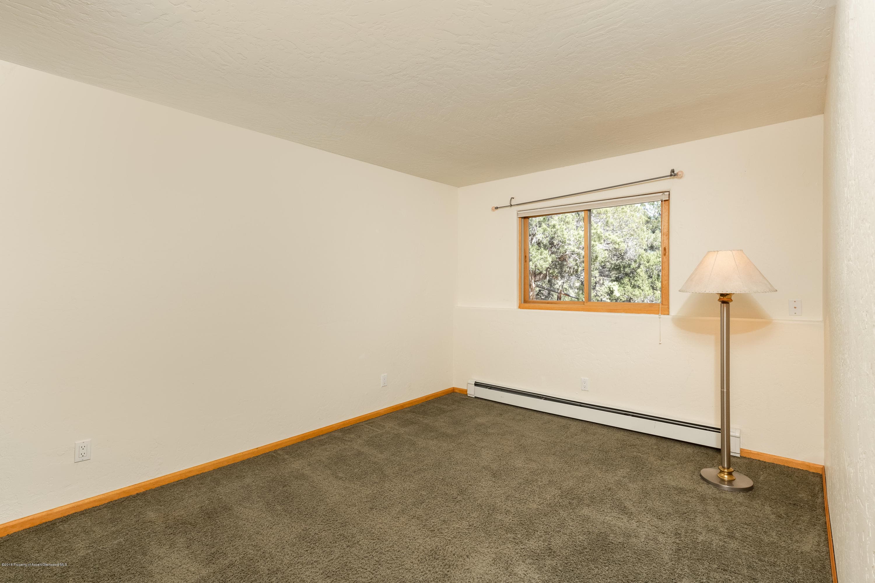 232 Caballo, Carbondale, CO 81623 - Photo 15