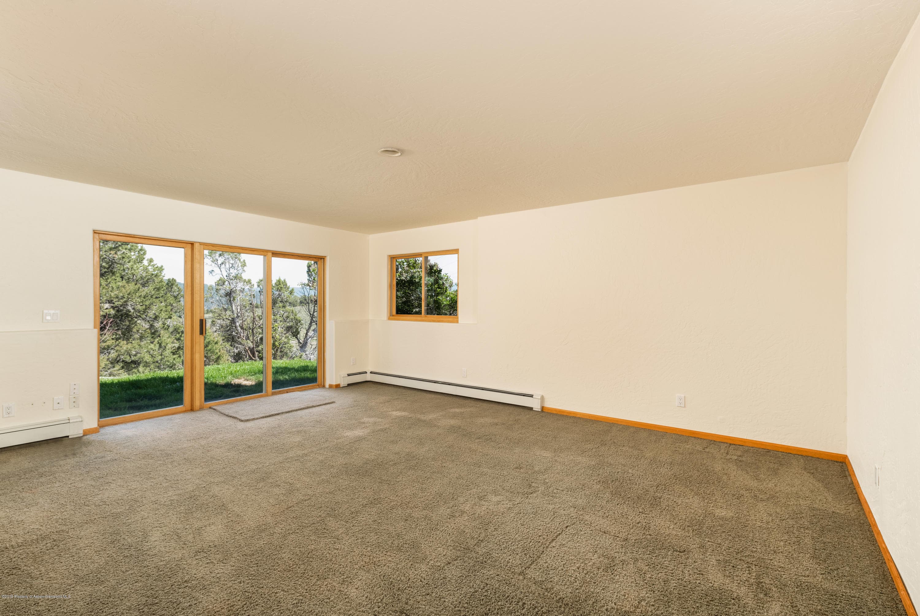 232 Caballo, Carbondale, CO 81623 - Photo 20