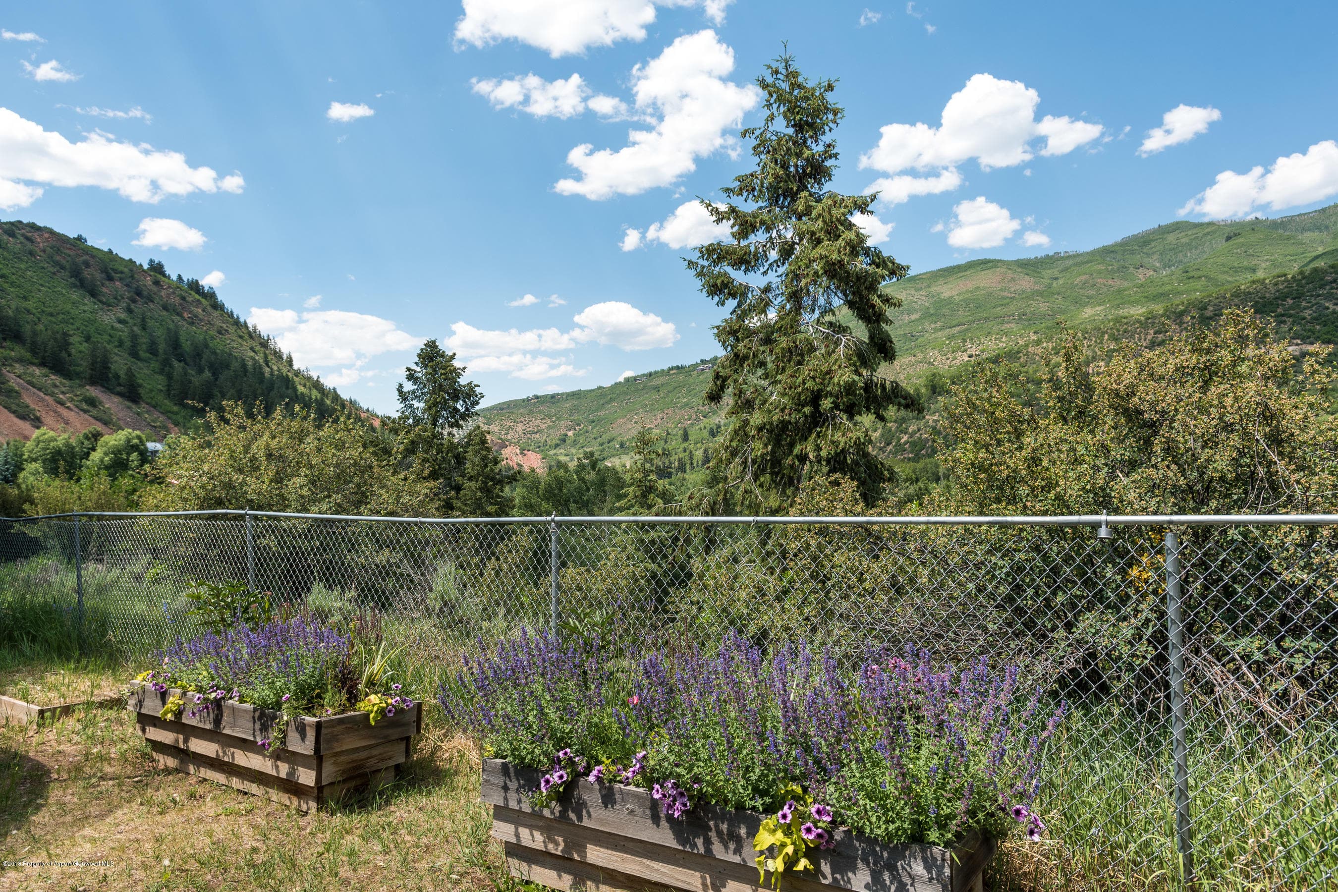 1320 Mountain View Drive, Aspen, CO 81611 - Photo 4