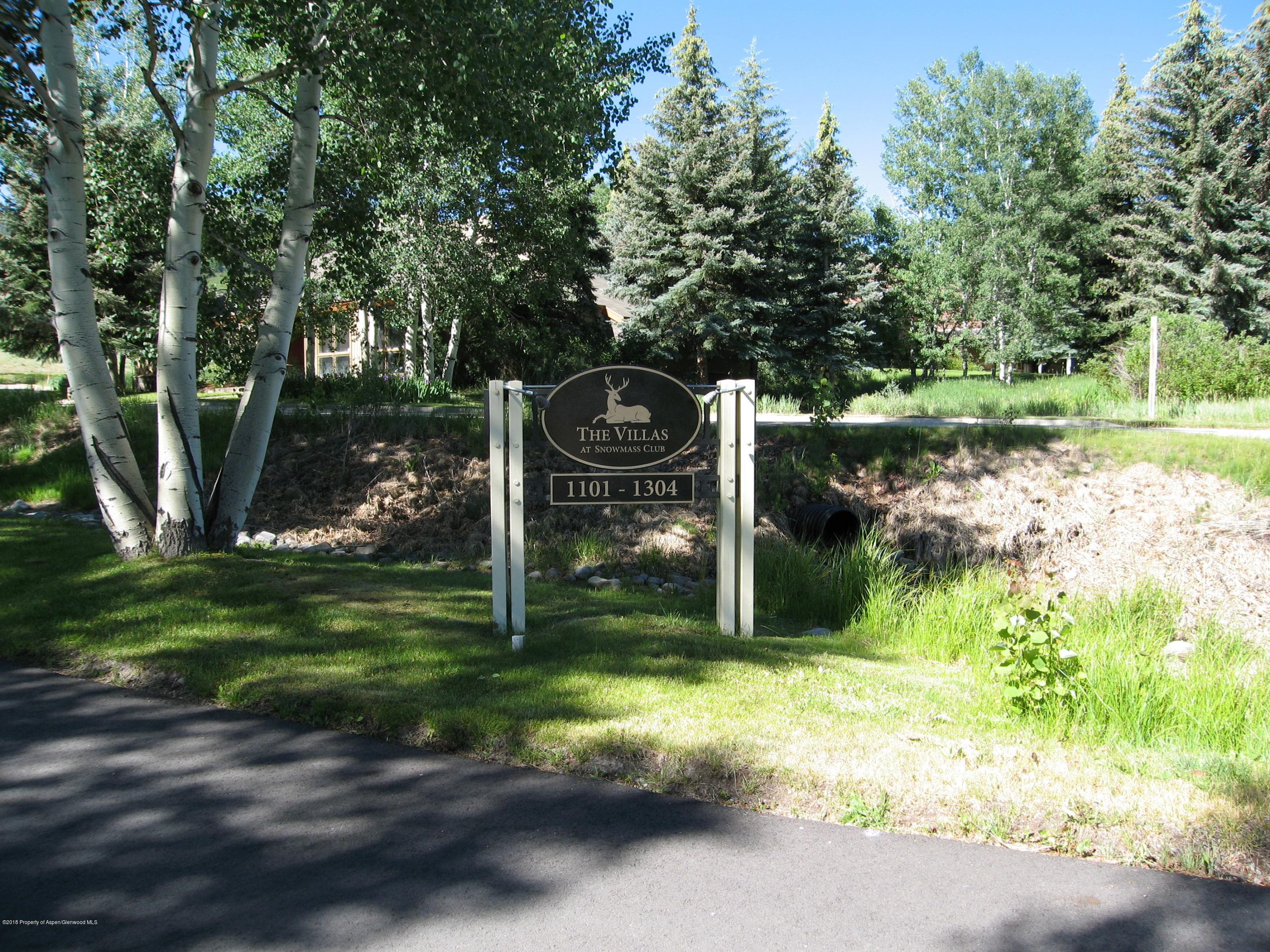 294 Snowmass Club Circle 1302, Snowmass Village, CO 81615 - Photo 13
