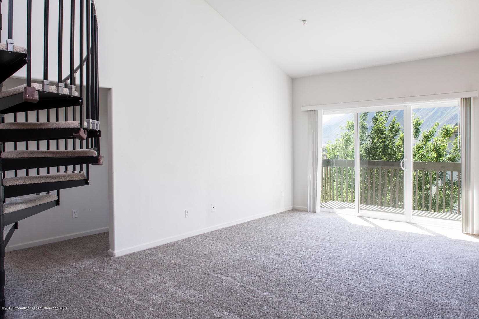 788 Castle Valley Boulevard Unit L, New Castle, CO 81647 - Photo 2
