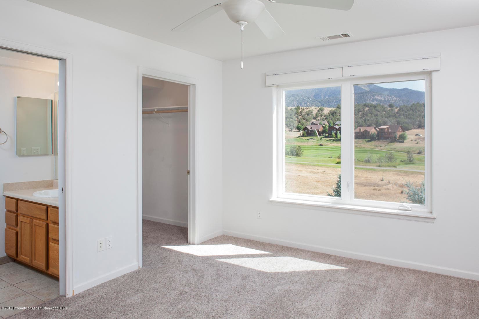 788 Castle Valley Boulevard Unit L, New Castle, CO 81647 - Photo 6