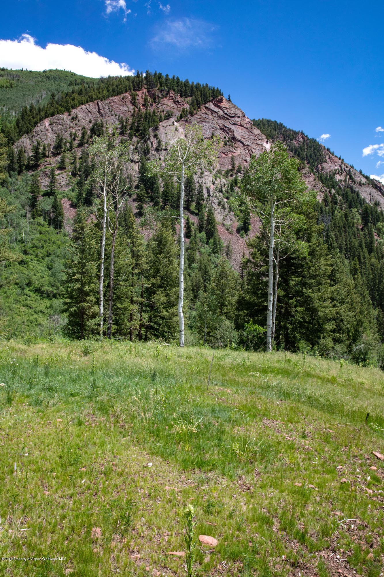 640 S HAYDEN Road, Aspen, CO 81611 - Photo 19