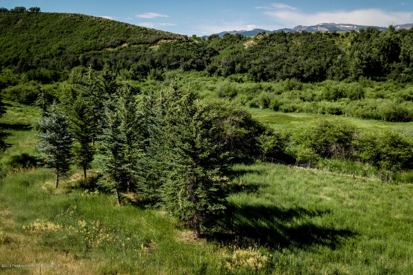 1088 Woody Creek Road, Woody Creek, CO 81656 - Photo 5