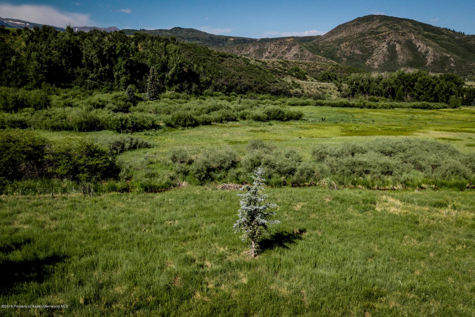 1088 Woody Creek Road, Woody Creek, CO 81656 - Photo 6
