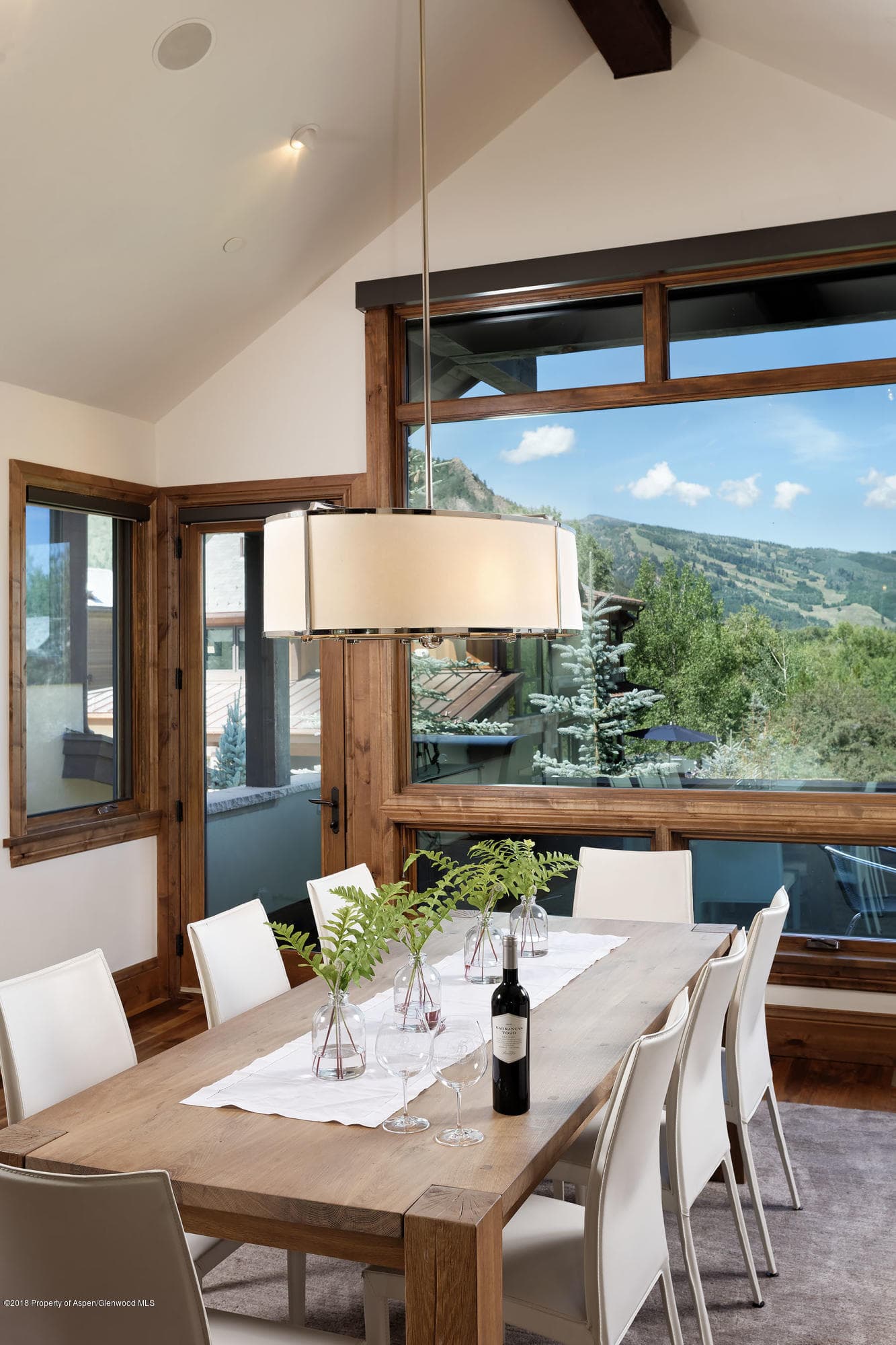 536 Walnut Street, Aspen, CO 81611 - Photo 9