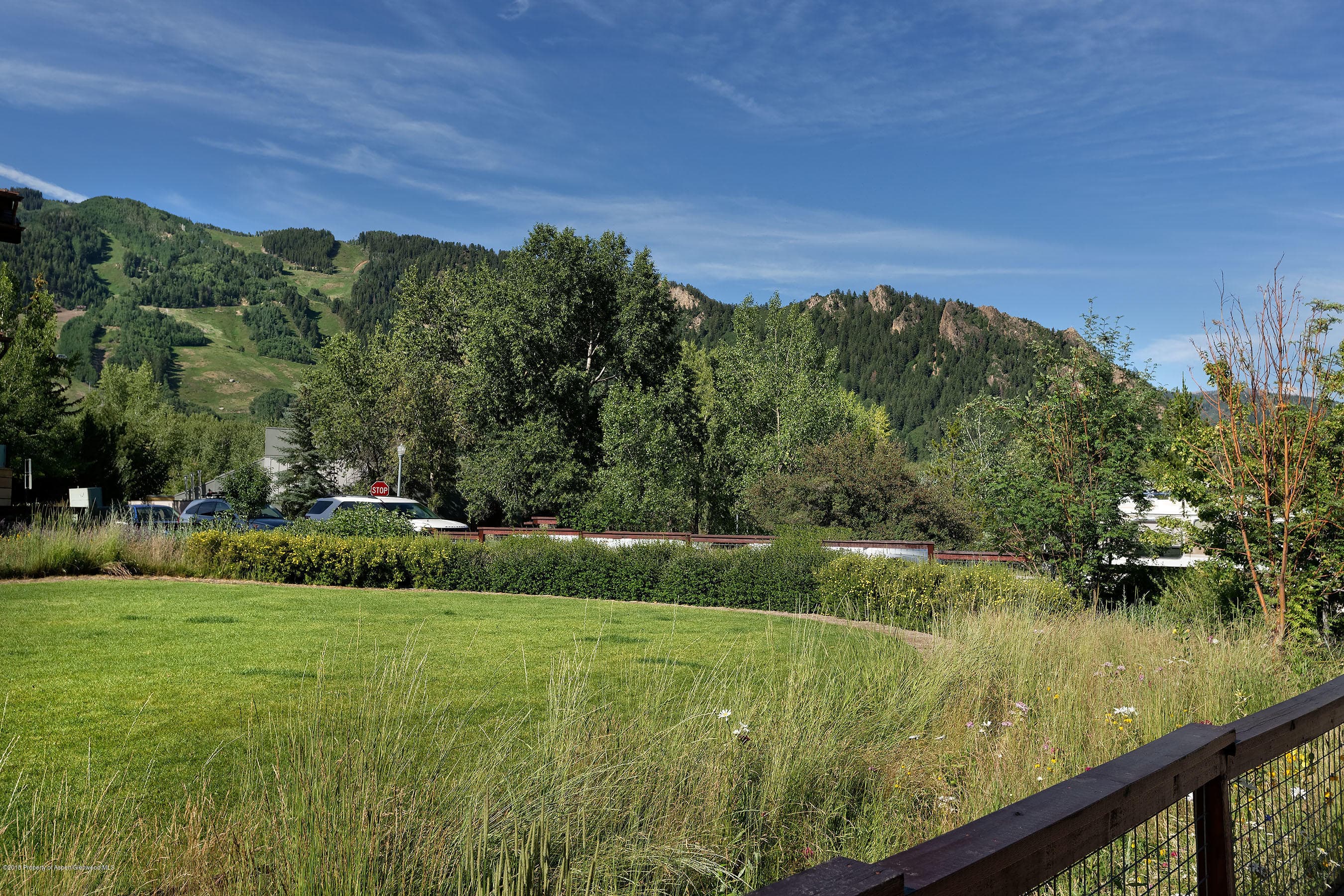536 Walnut Street, Aspen, CO 81611 - Photo 28