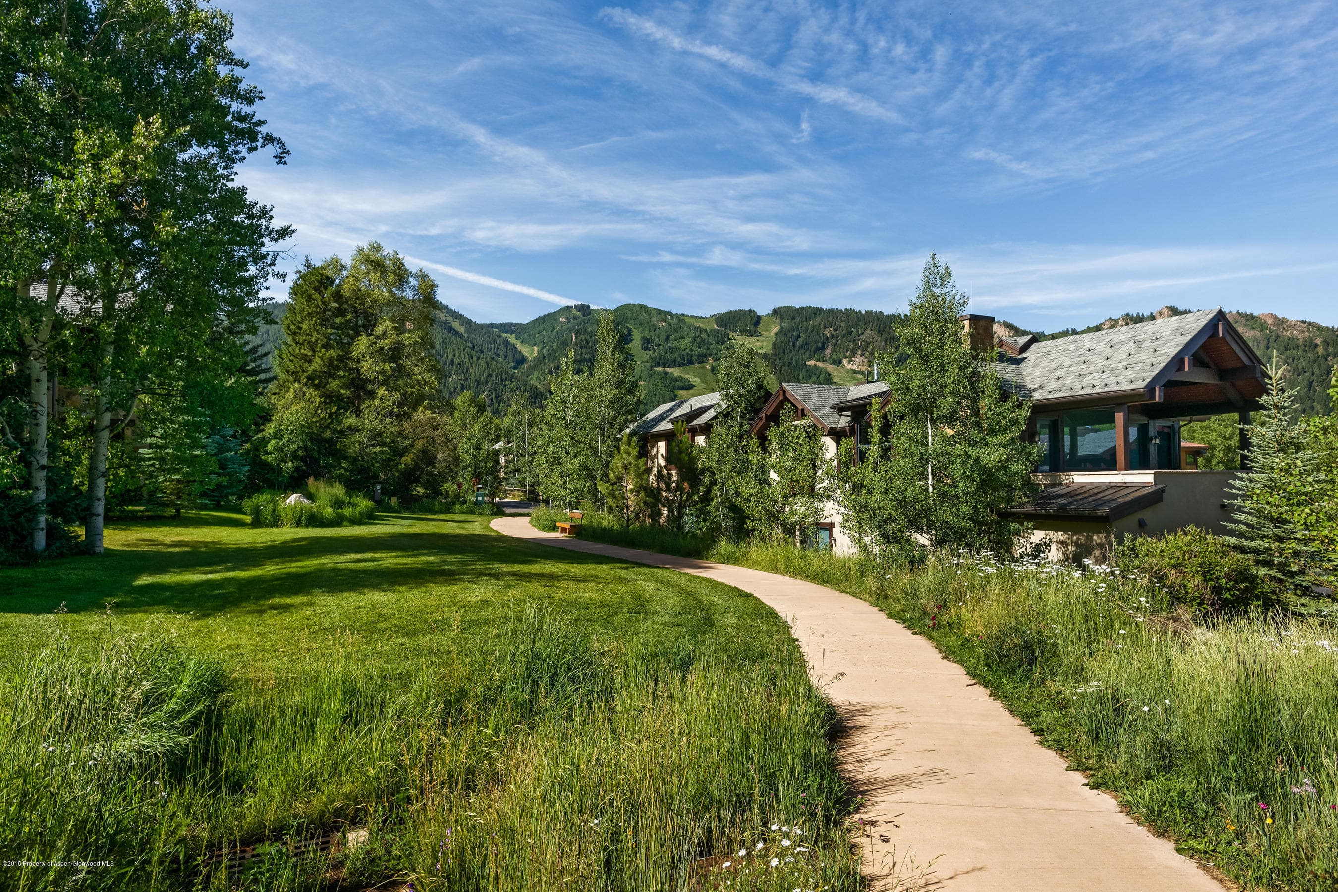 536 Walnut Street, Aspen, CO 81611 - Photo 3