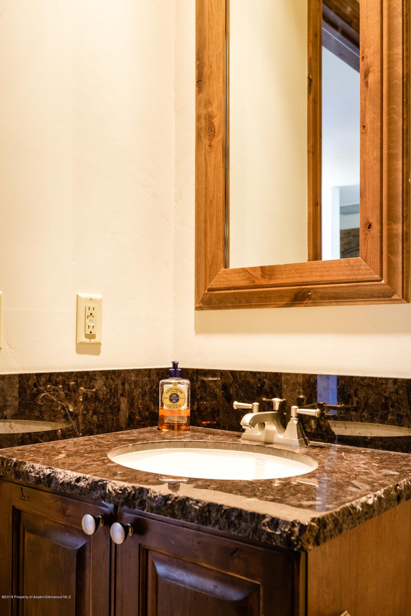 536 Walnut Street, Aspen, CO 81611 - Photo 19