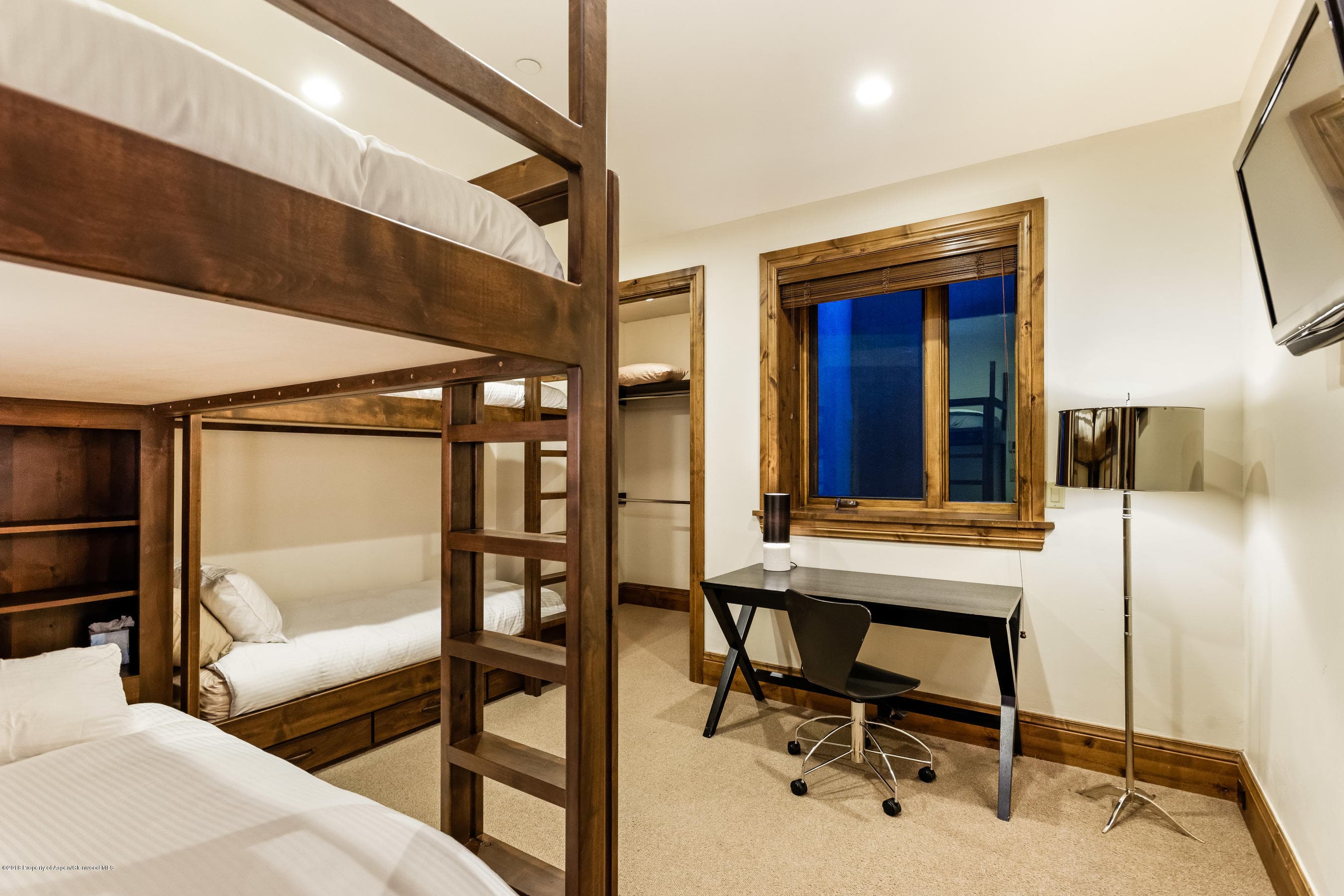 536 Walnut Street, Aspen, CO 81611 - Photo 22