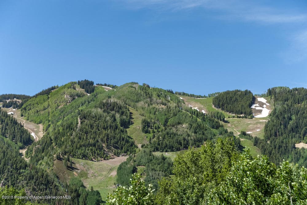 40 Spruce Court, Aspen, CO 81611 - Photo 3