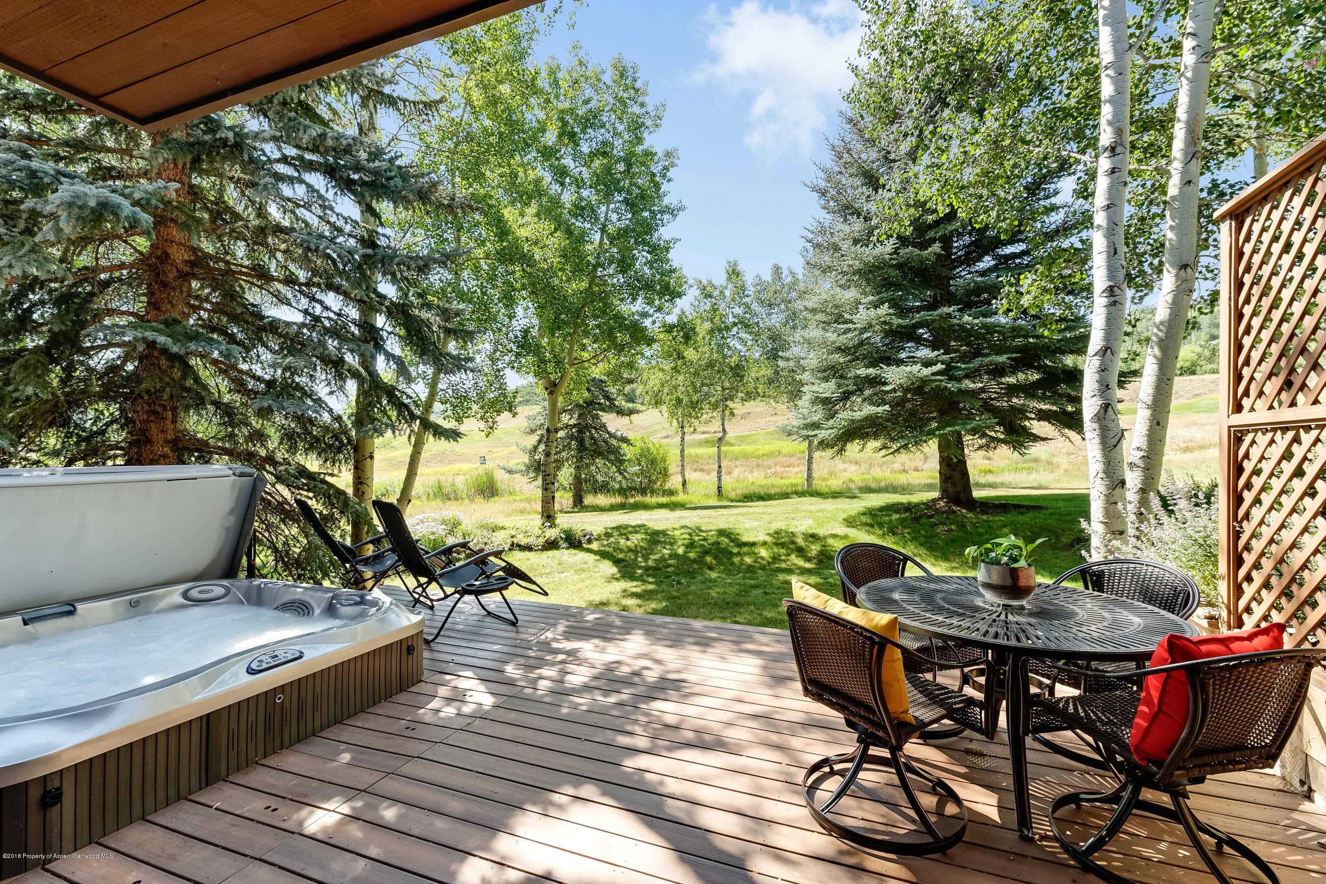 52 Harleston Green 39, Snowmass Village, CO 81615 - Photo 17