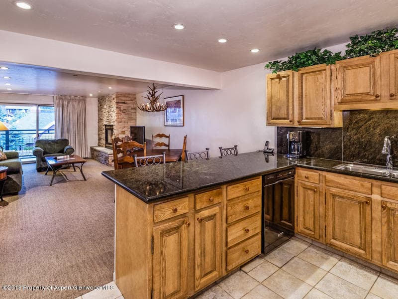 555 E Durant Avenue 2G, Aspen, CO 81611 - Photo 7