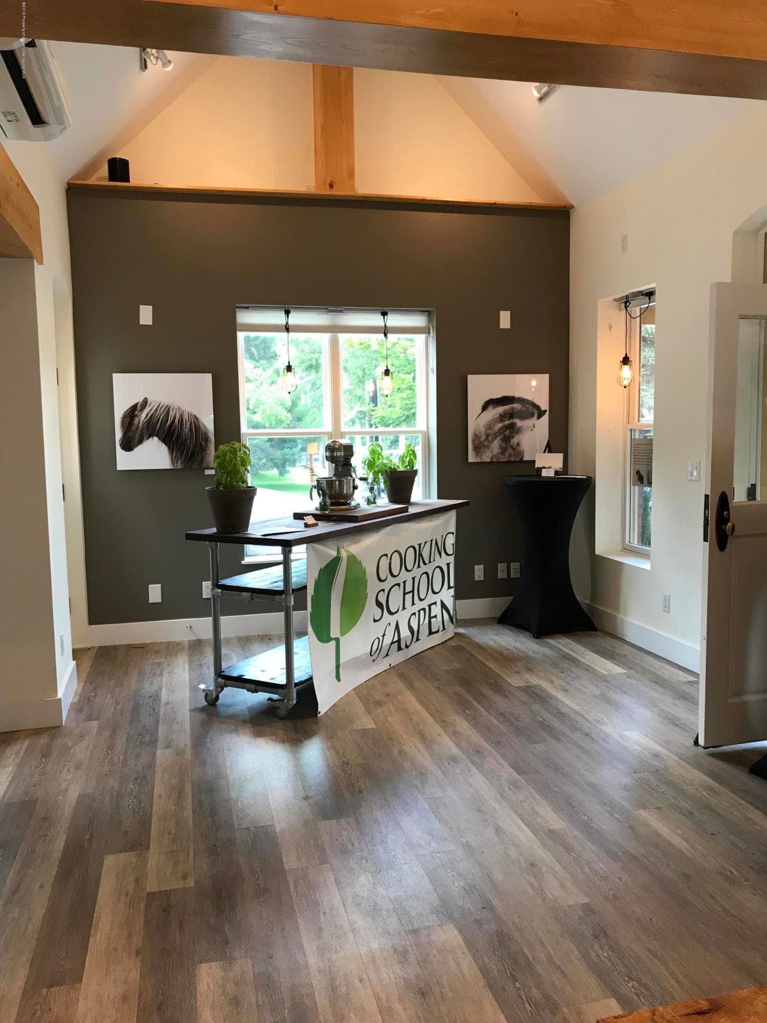 301 E Hopkins Avenue, Aspen, CO 81611 - Photo 25