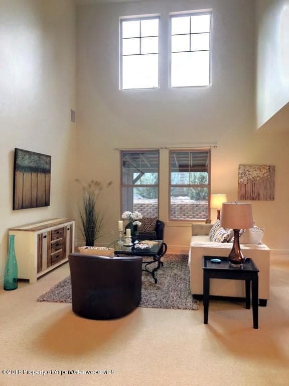 244 Red Bluff Vista, Glenwood Springs, CO 81601 - Photo 12