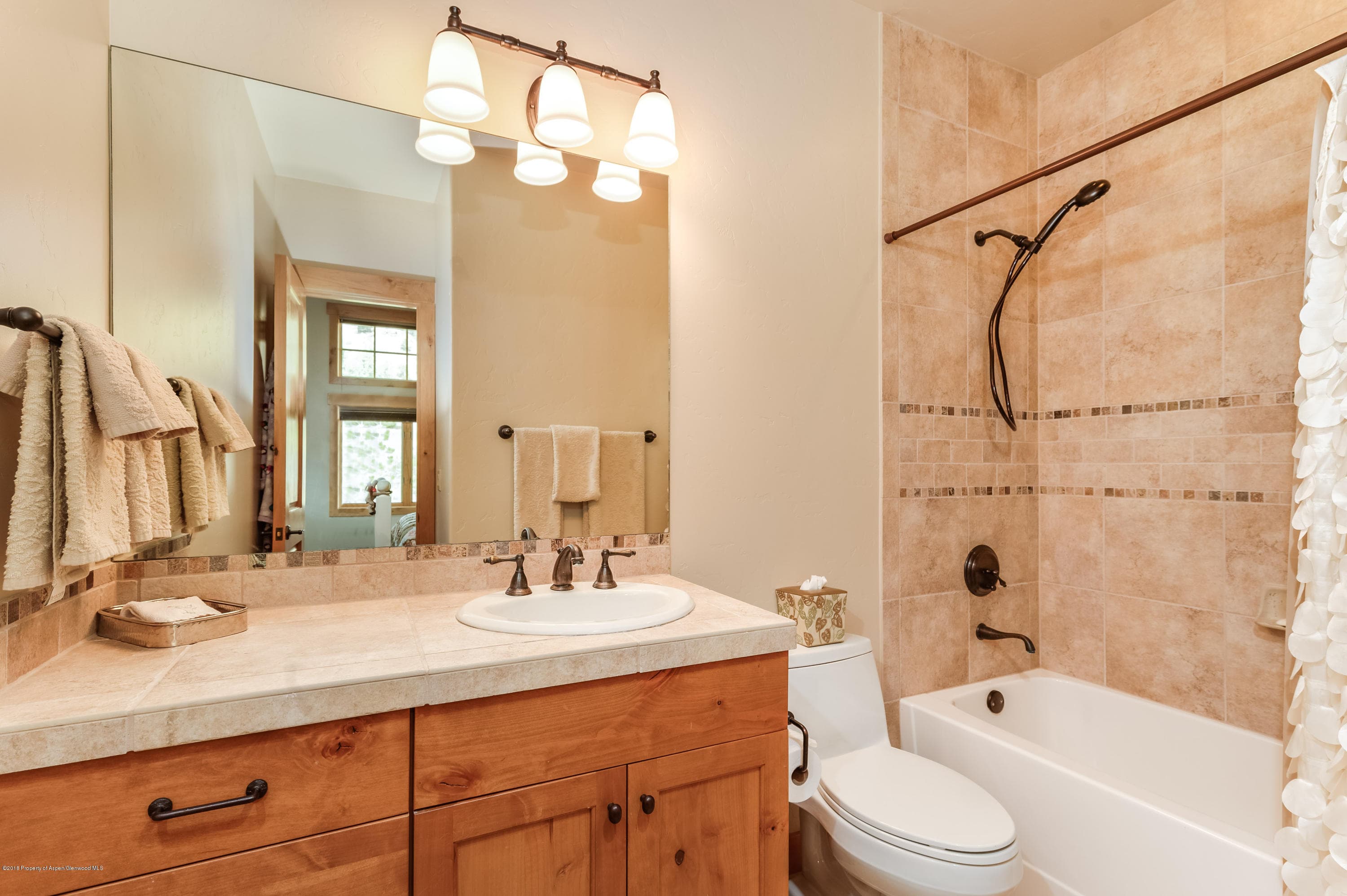 579 Larkspur Drive, Carbondale, CO 81623 - Photo 23