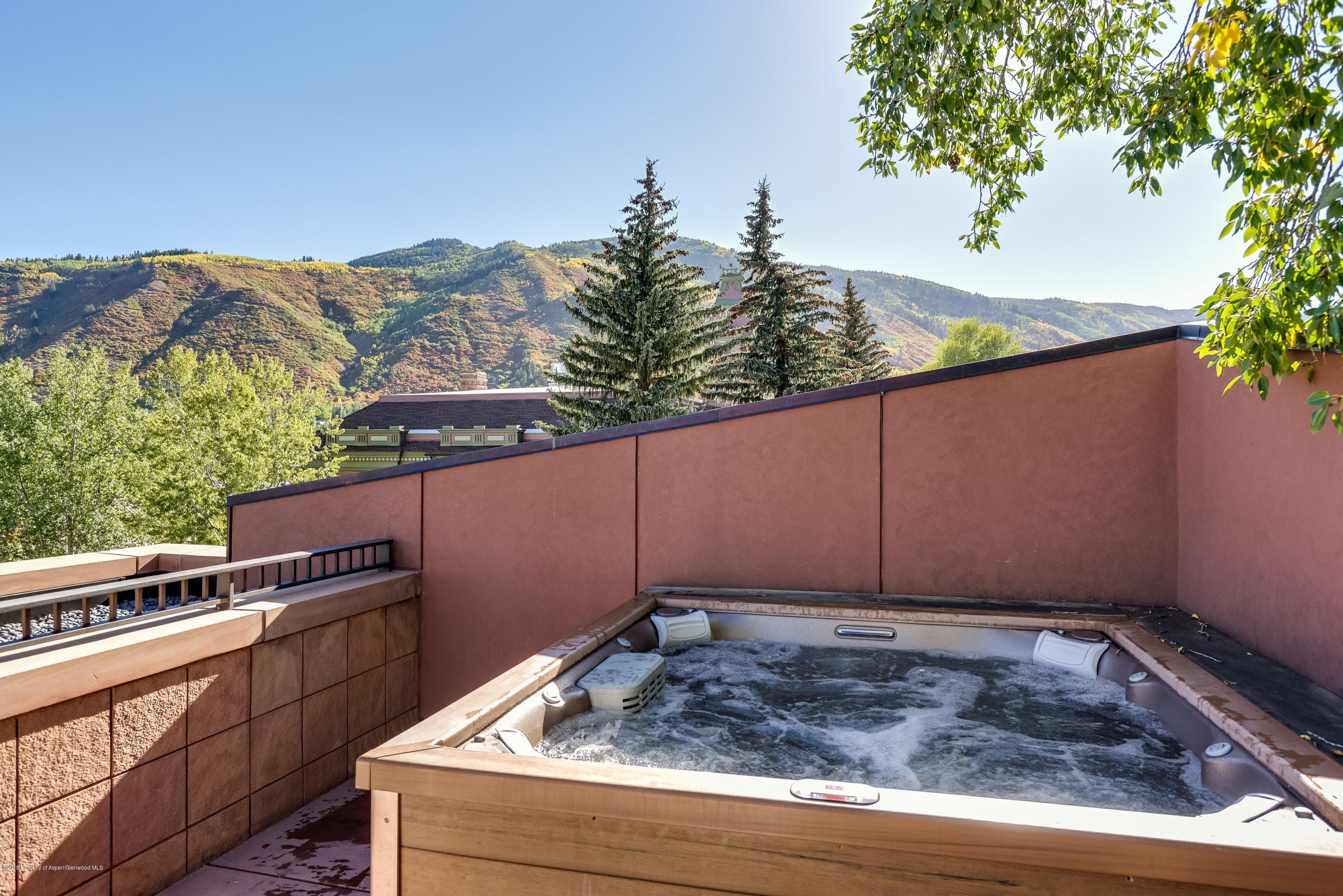 426 E Main Street, Aspen, CO 81611 - Photo 25