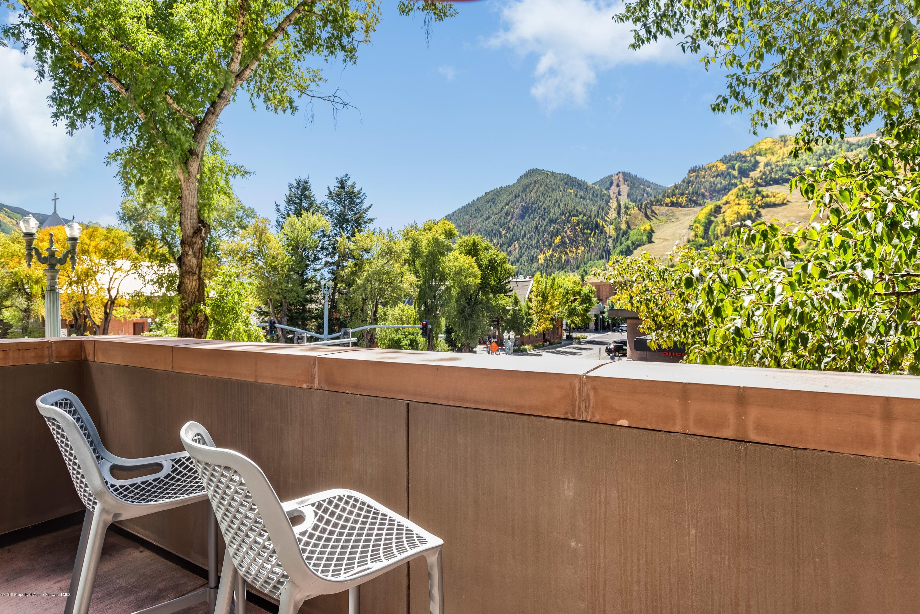 426 E Main Street, Aspen, CO 81611 - Photo 21