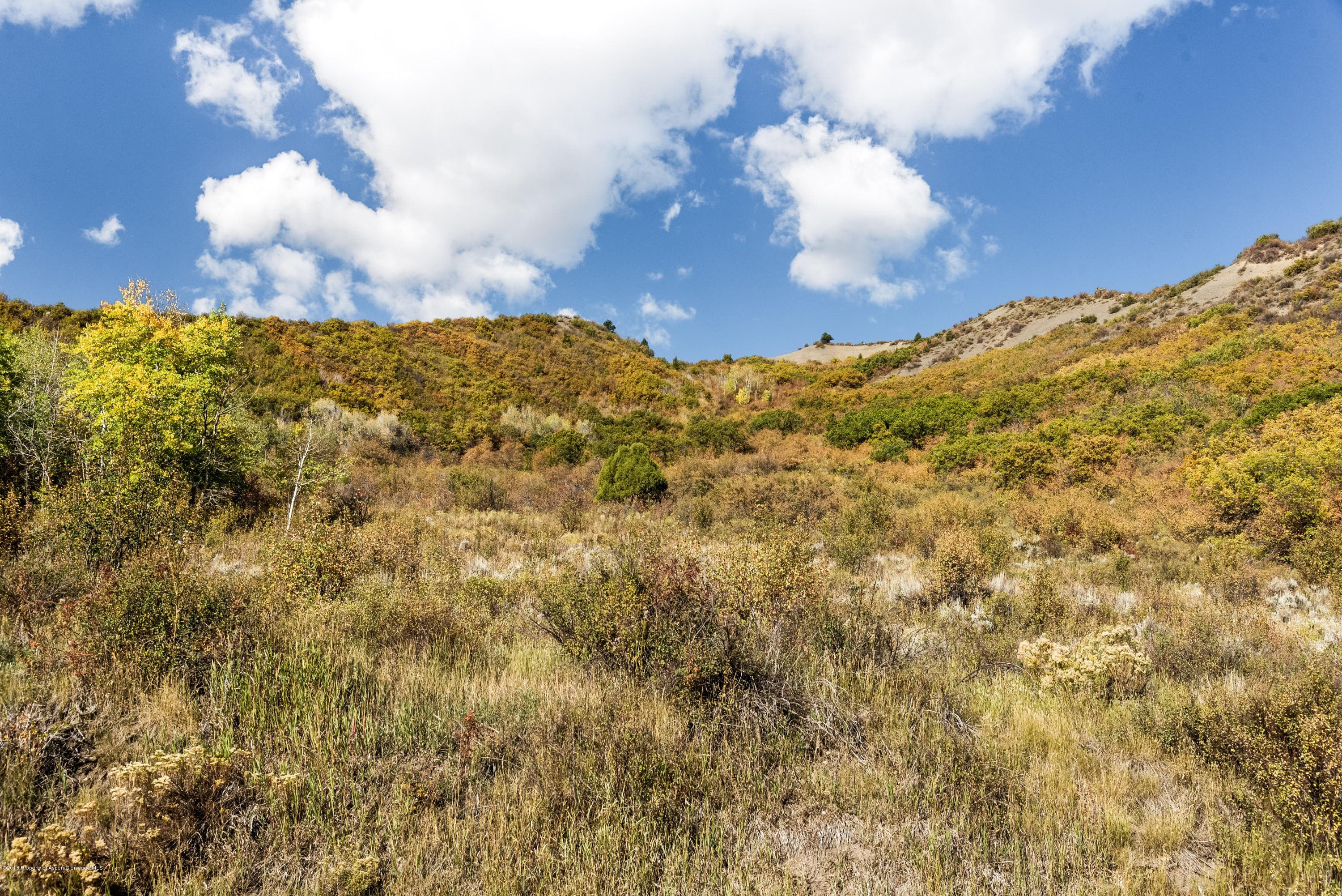 266 Sinclair Road - Photo 7