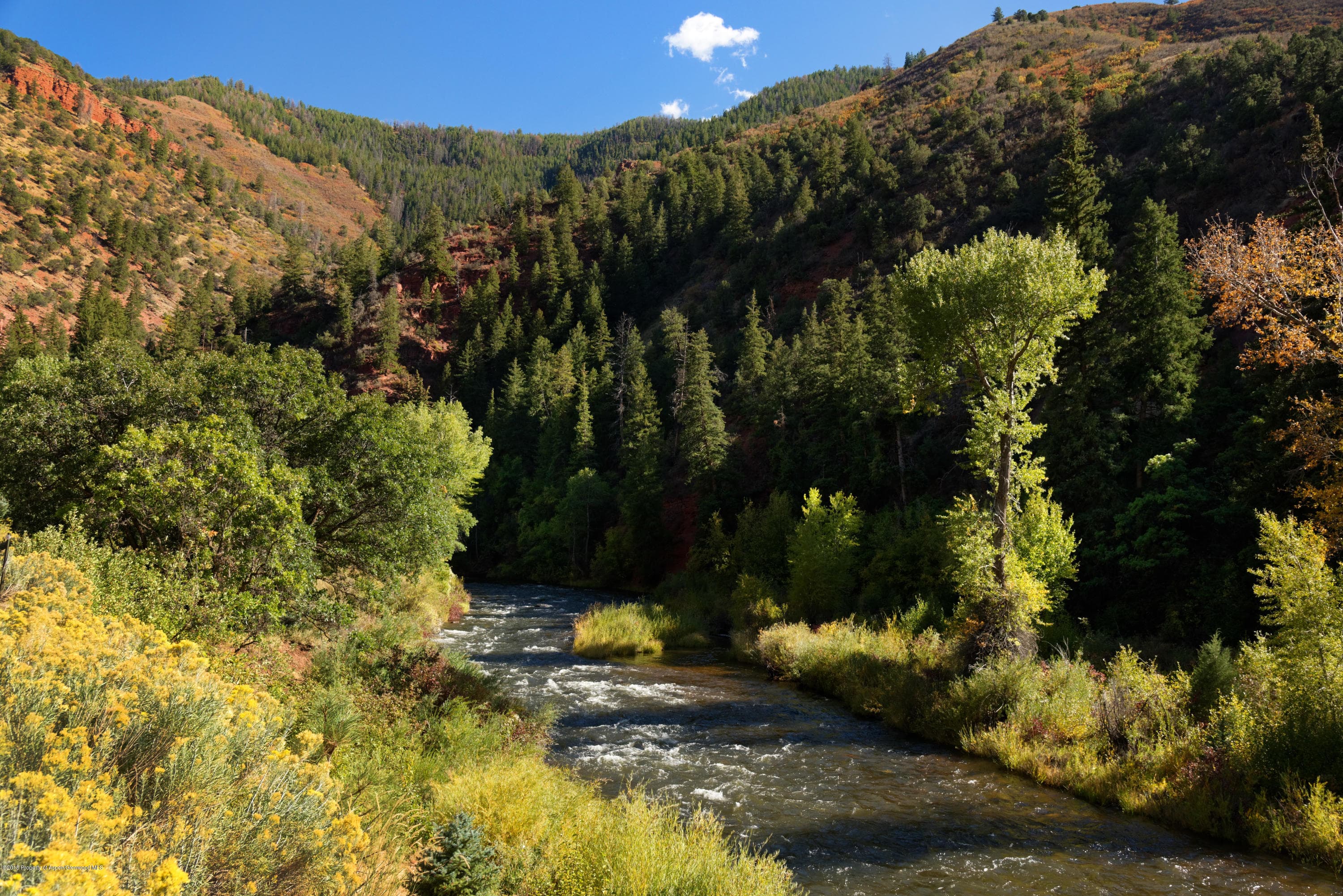 3006 Frying Pan Road, Basalt, CO 81621 - Photo 13