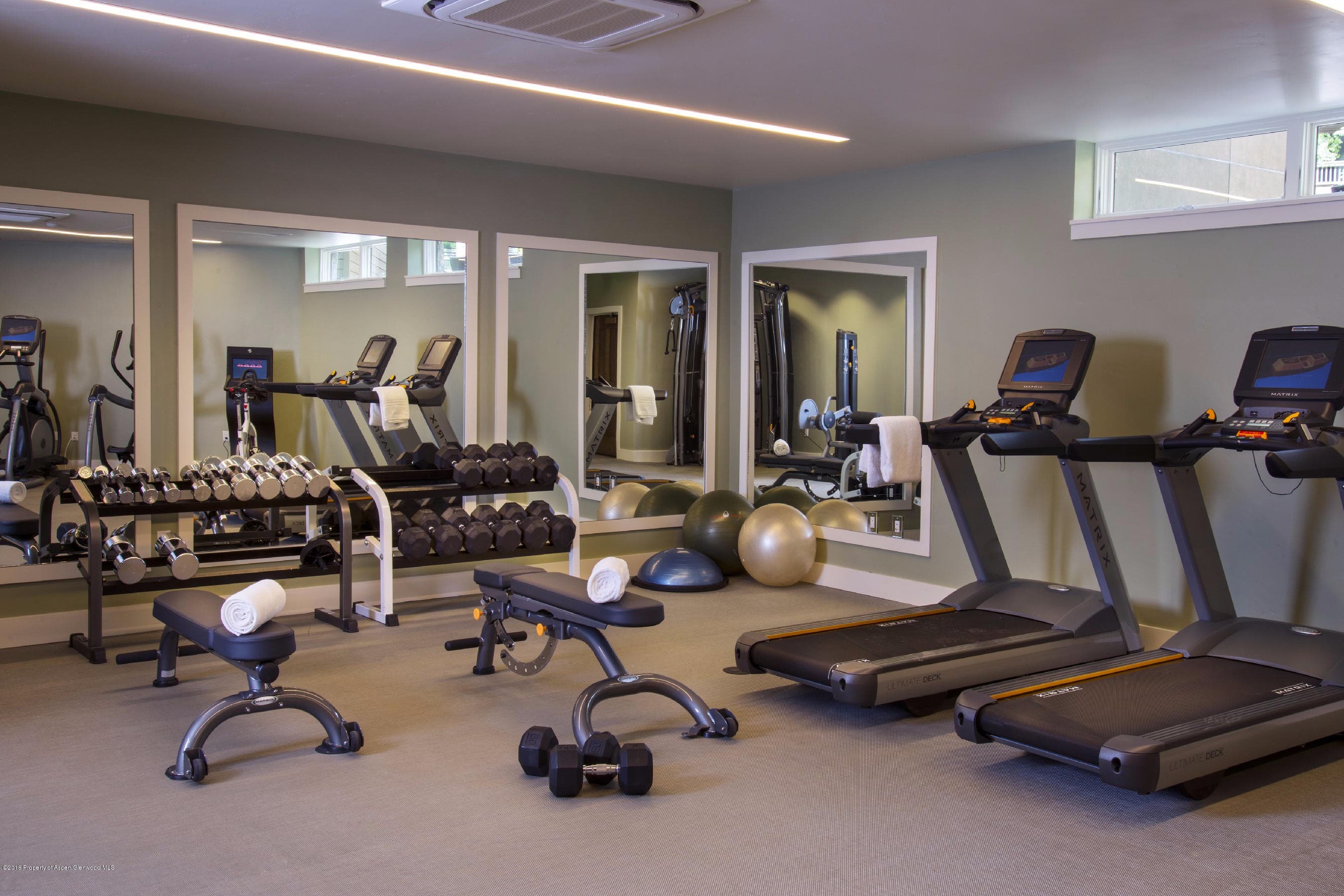 610 S West End Street H203, Aspen, CO 81611 - Photo 15