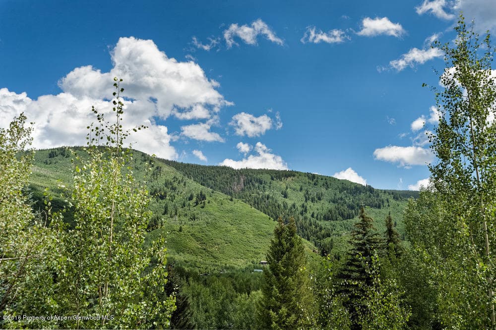 610 S West End Street H203, Aspen, CO 81611 - Photo 16