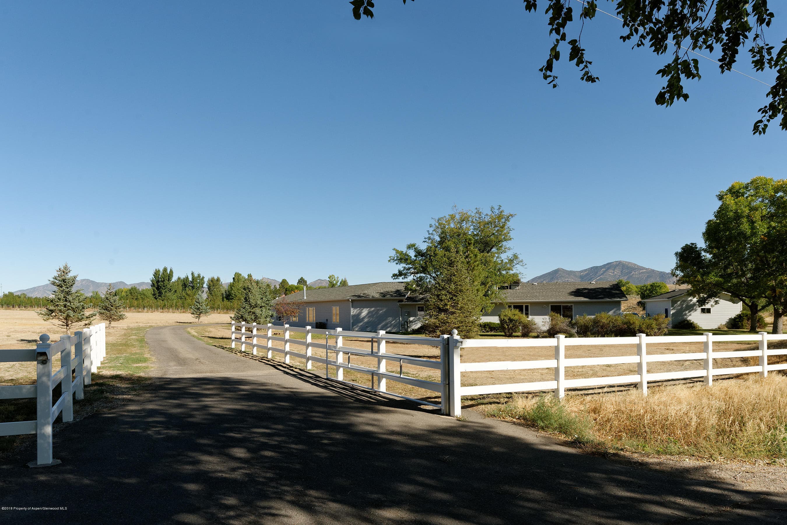 1359 Co Rd 294, Rifle, CO 81650 - Photo 25