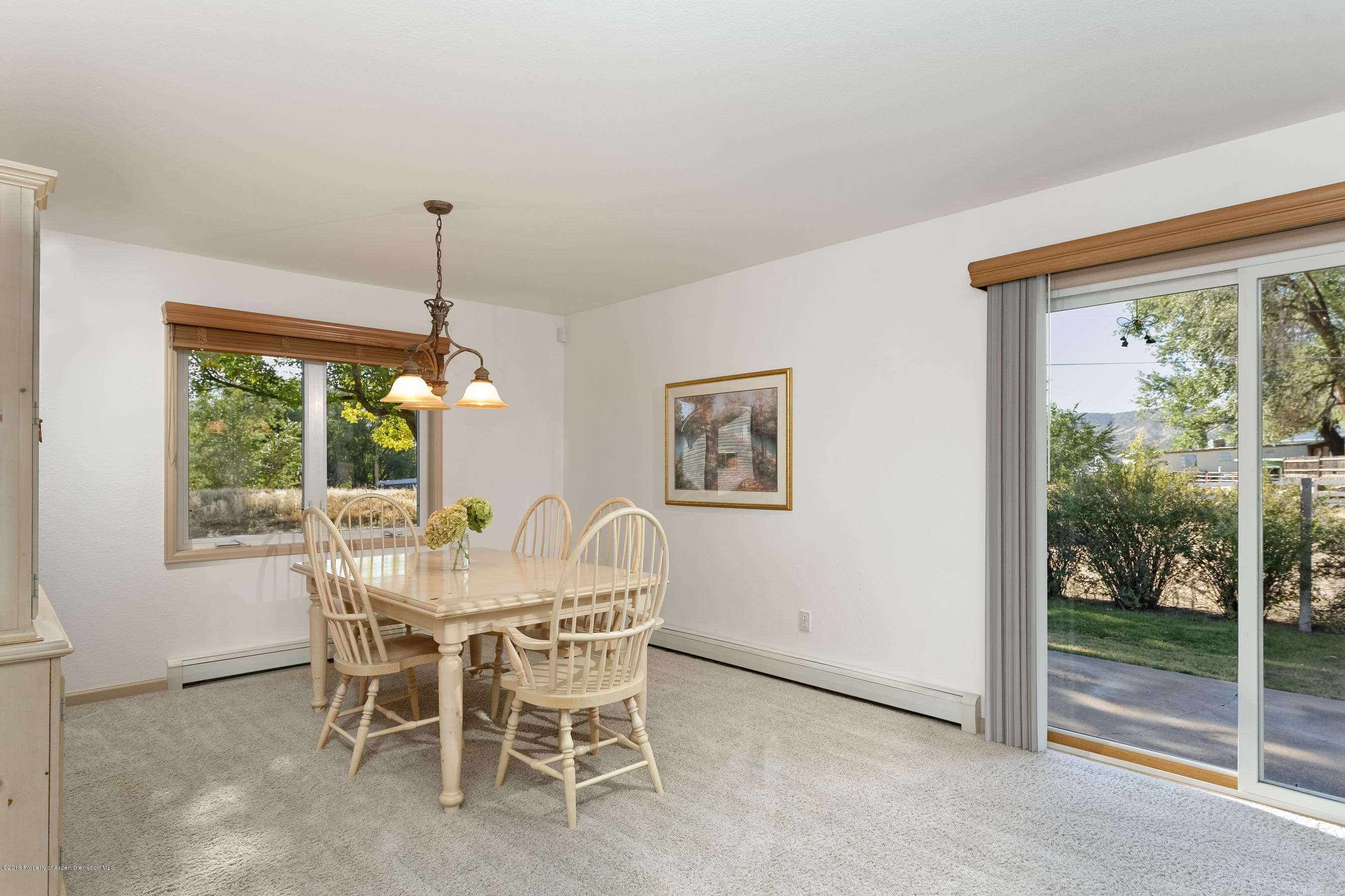 1359 Co Rd 294, Rifle, CO 81650 - Photo 9