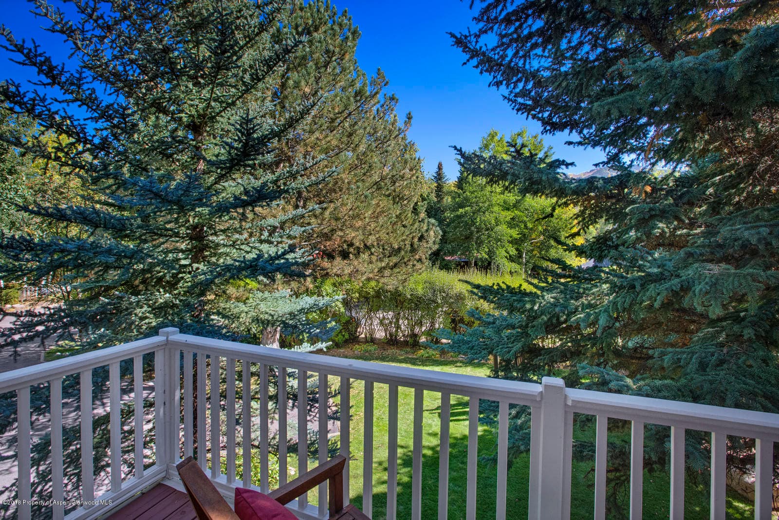 1225 Snowbunny Lane #1, Aspen, CO 81611 - Photo 20