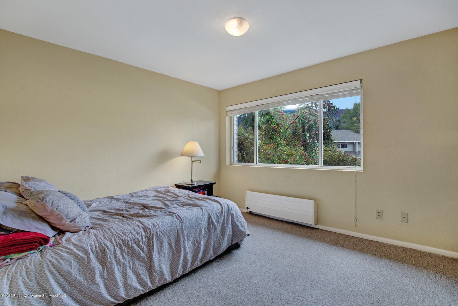323 Park Ave, Unit G3, Basalt, CO 81621 - Photo 11