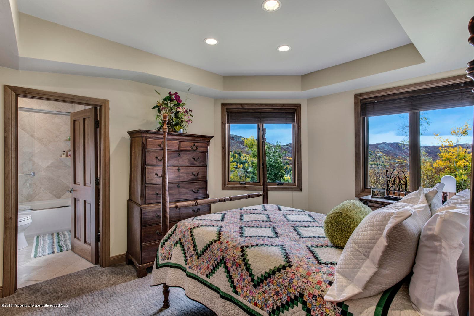 35 North Ridge Lane, Snowmass Village, CO 81615 - Photo 28