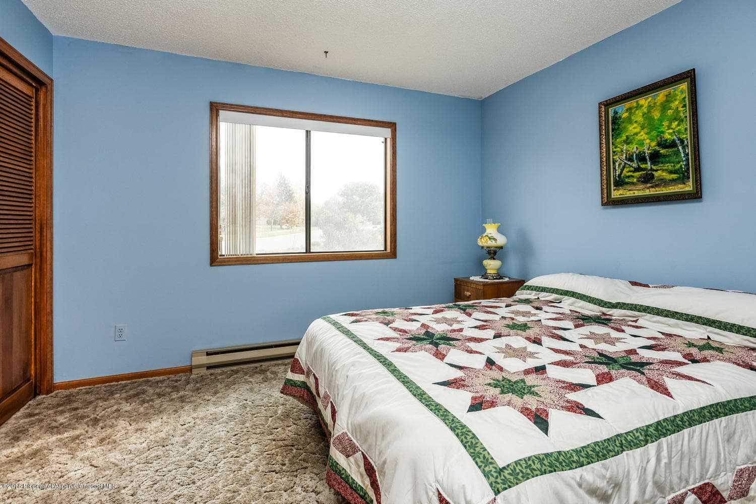 1402 Greystone, Carbondale, CO 81623 - Photo 14
