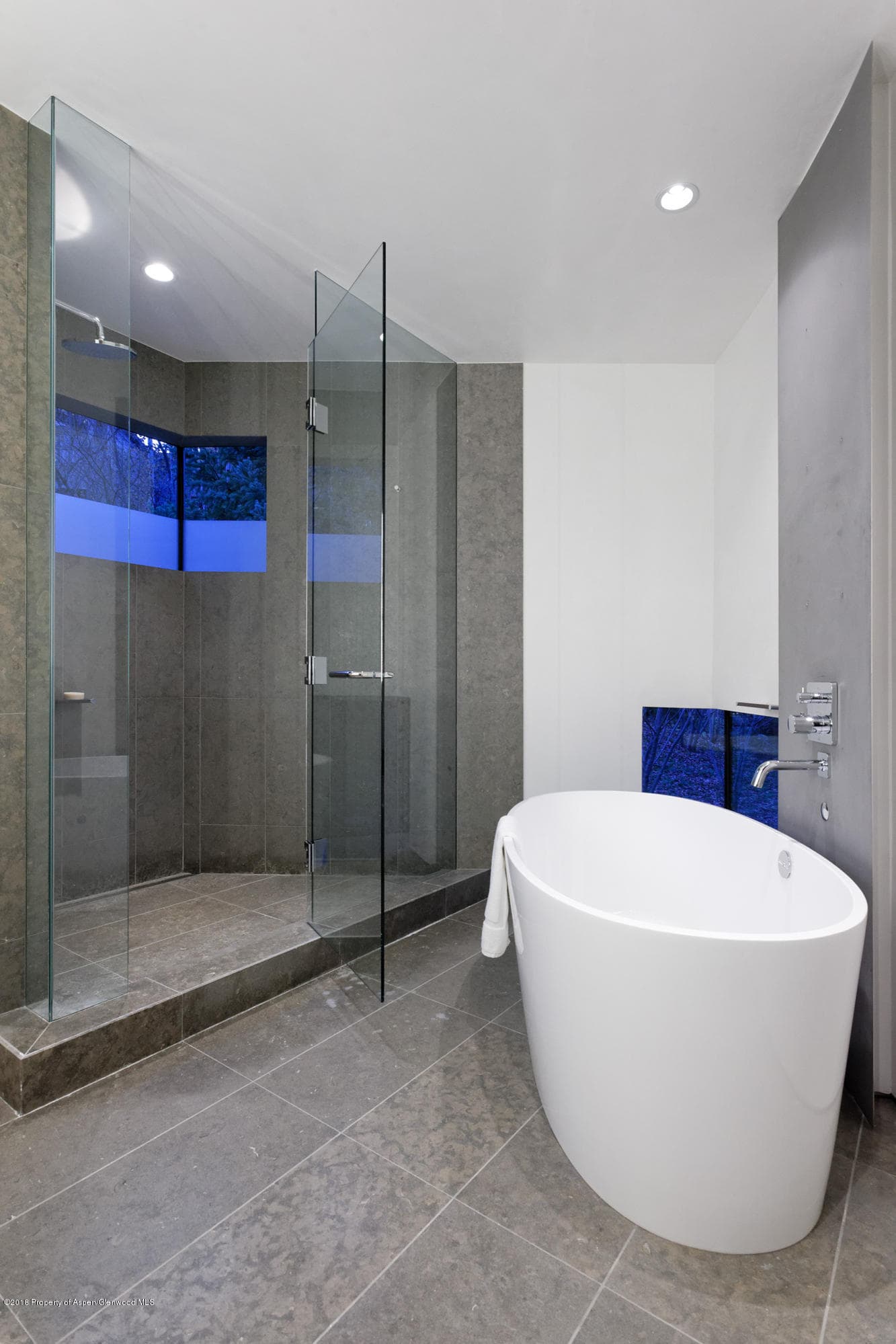 1118 Waters Avenue, Aspen, CO 81611 - Photo 14