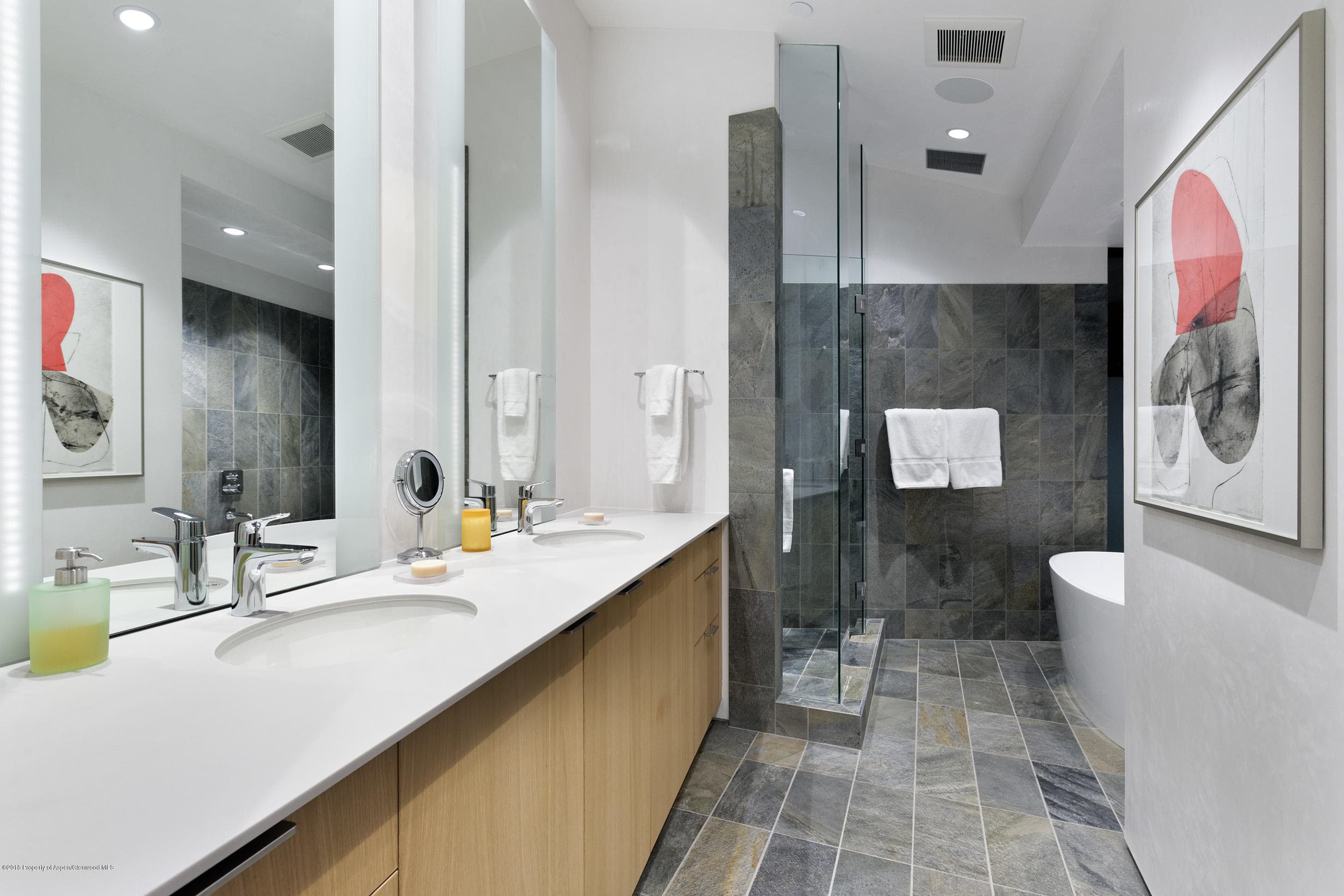 1118 Waters Avenue, Aspen, CO 81611 - Photo 23