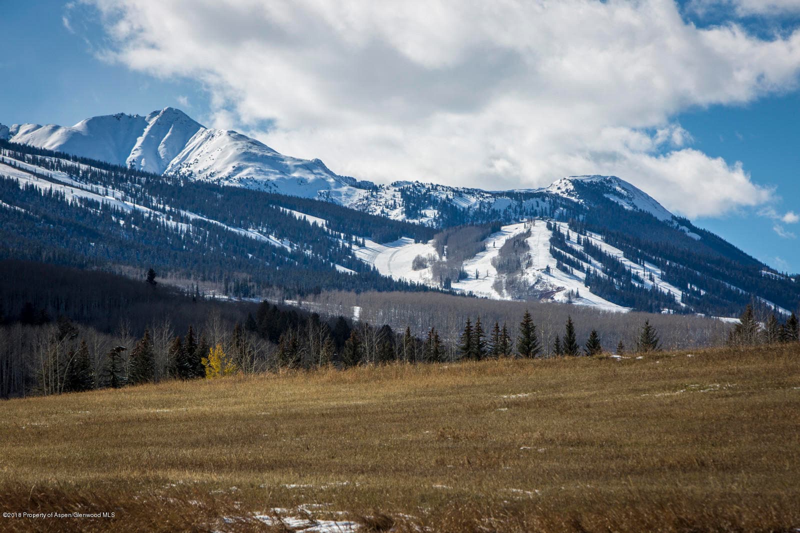 TBD Owl Creek Ranch Road, Aspen, CO 81611 - Photo 6