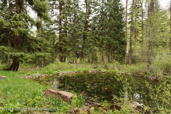 3224 Castle Creek Road, Aspen, CO 81611 - Photo 52