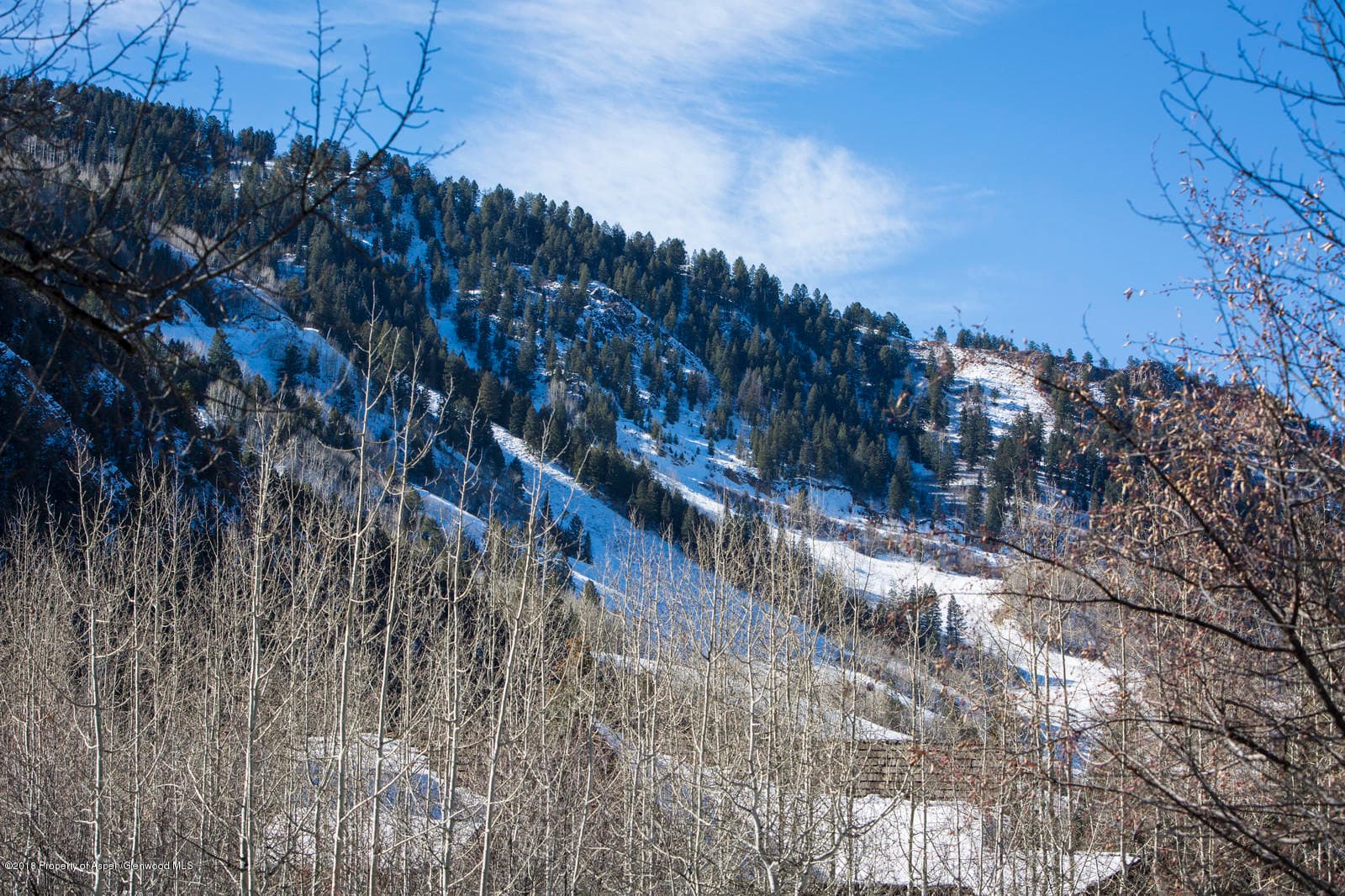 1395 Riverside Drive, Aspen, CO 81611 - Photo 26