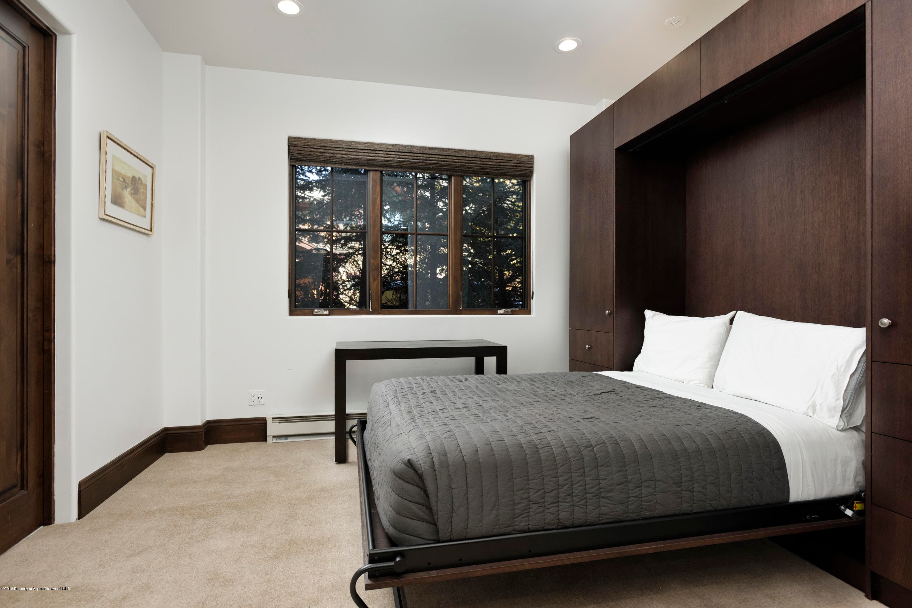 566 Race Street, Aspen, CO 81611 - Photo 10