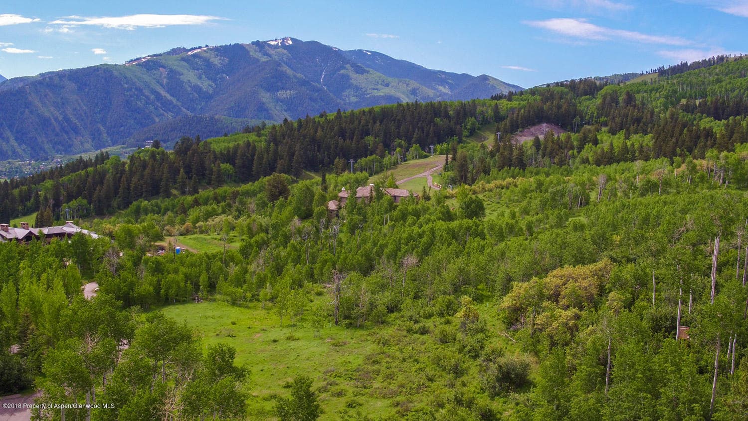 TBD Eagle Pines Drive, Aspen, CO 81611 - Photo 4