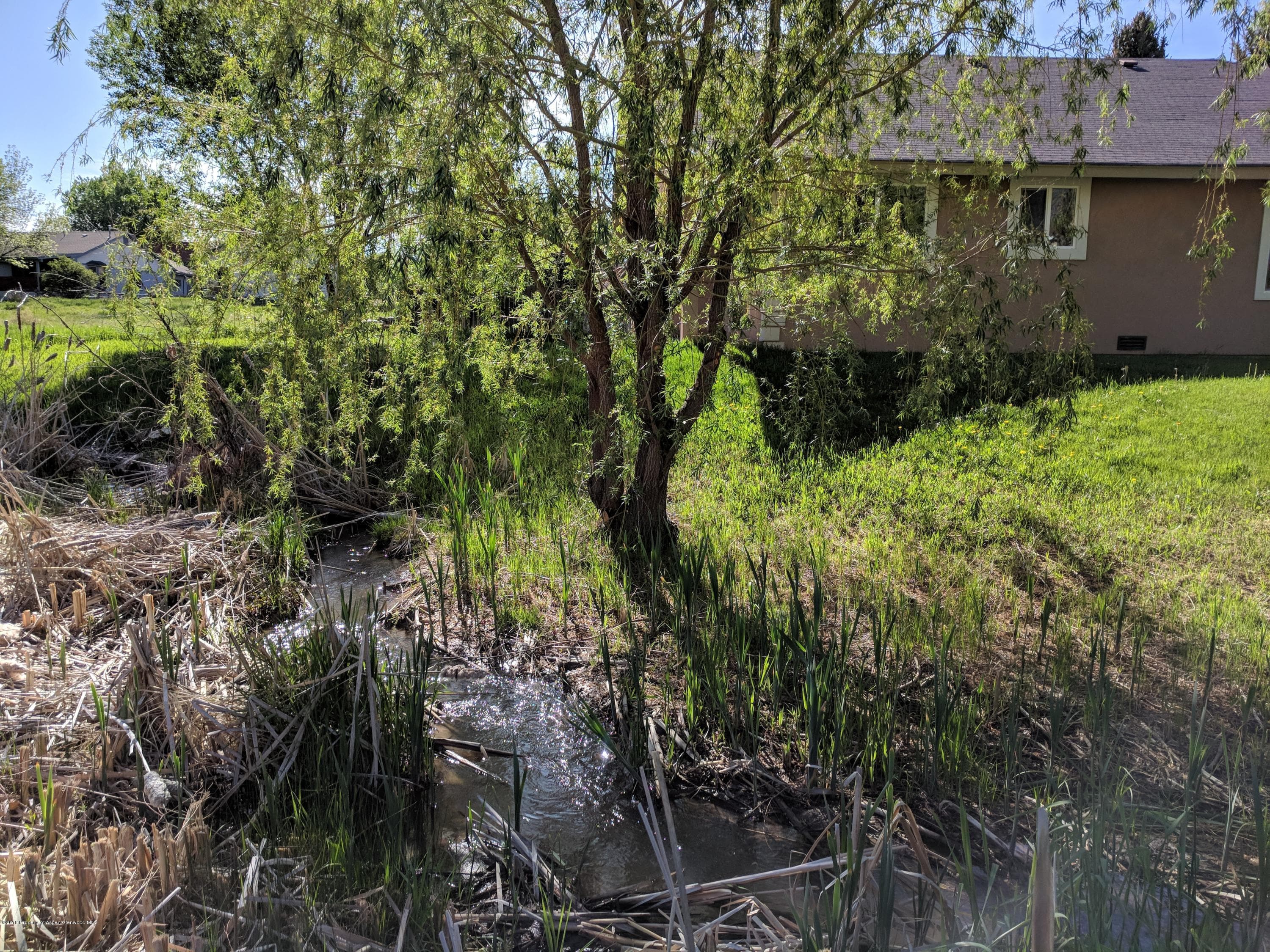 726 Ginseng Road, New Castle, CO 81647 - Photo 6