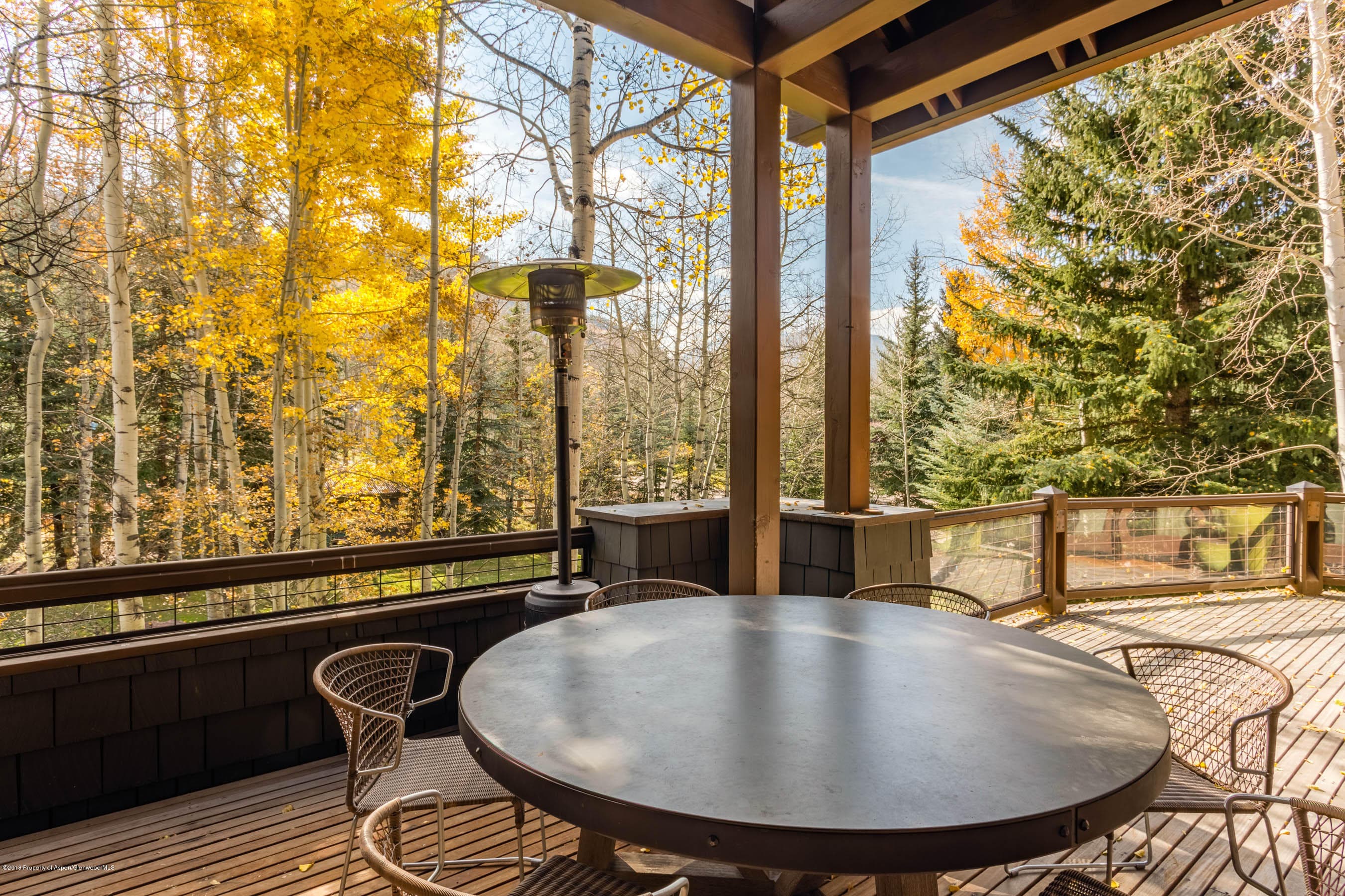 372 Glen Eagles Drive, Aspen, CO 81611 - Photo 39