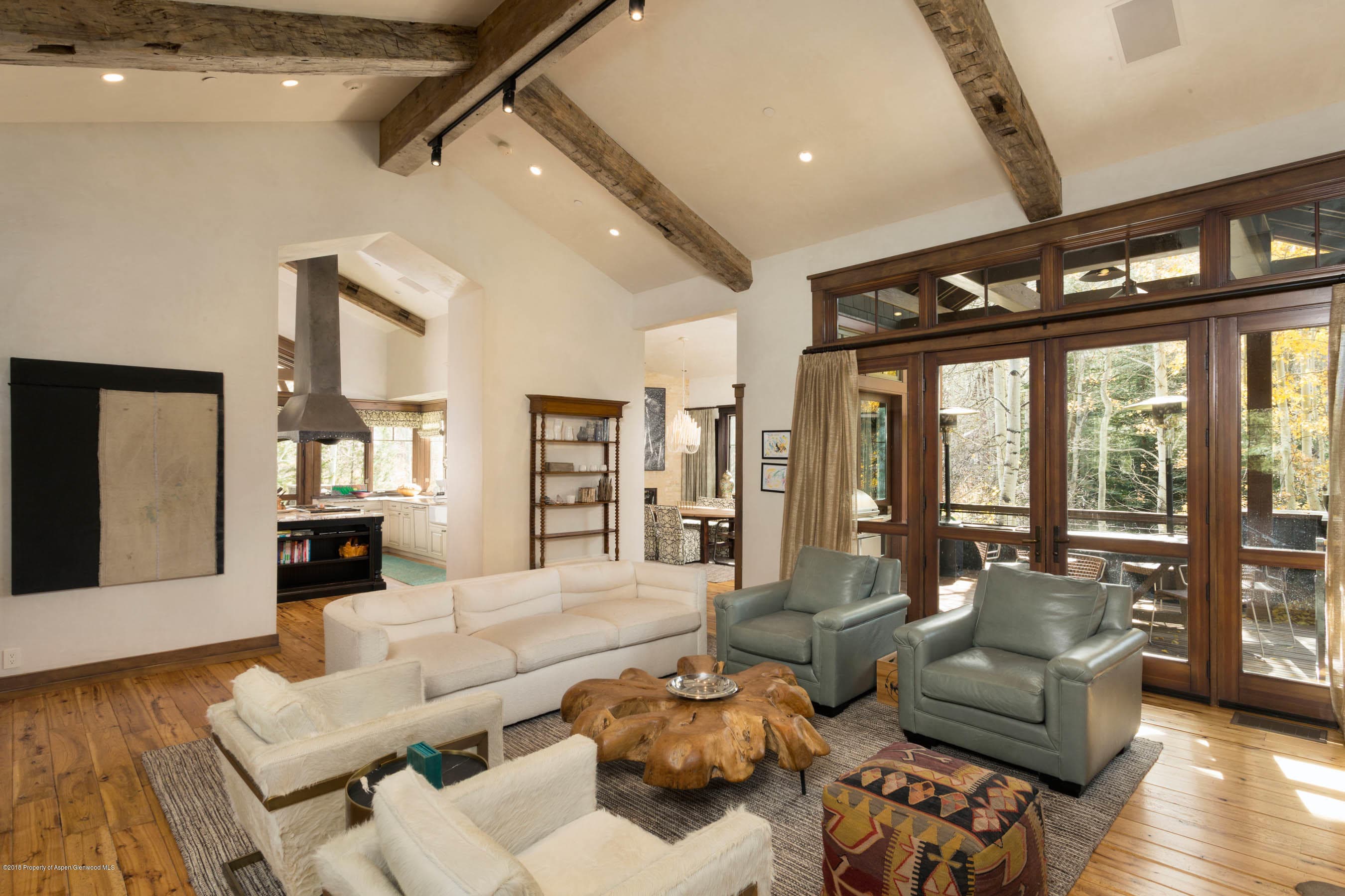 372 Glen Eagles Drive, Aspen, CO 81611 - Photo 7