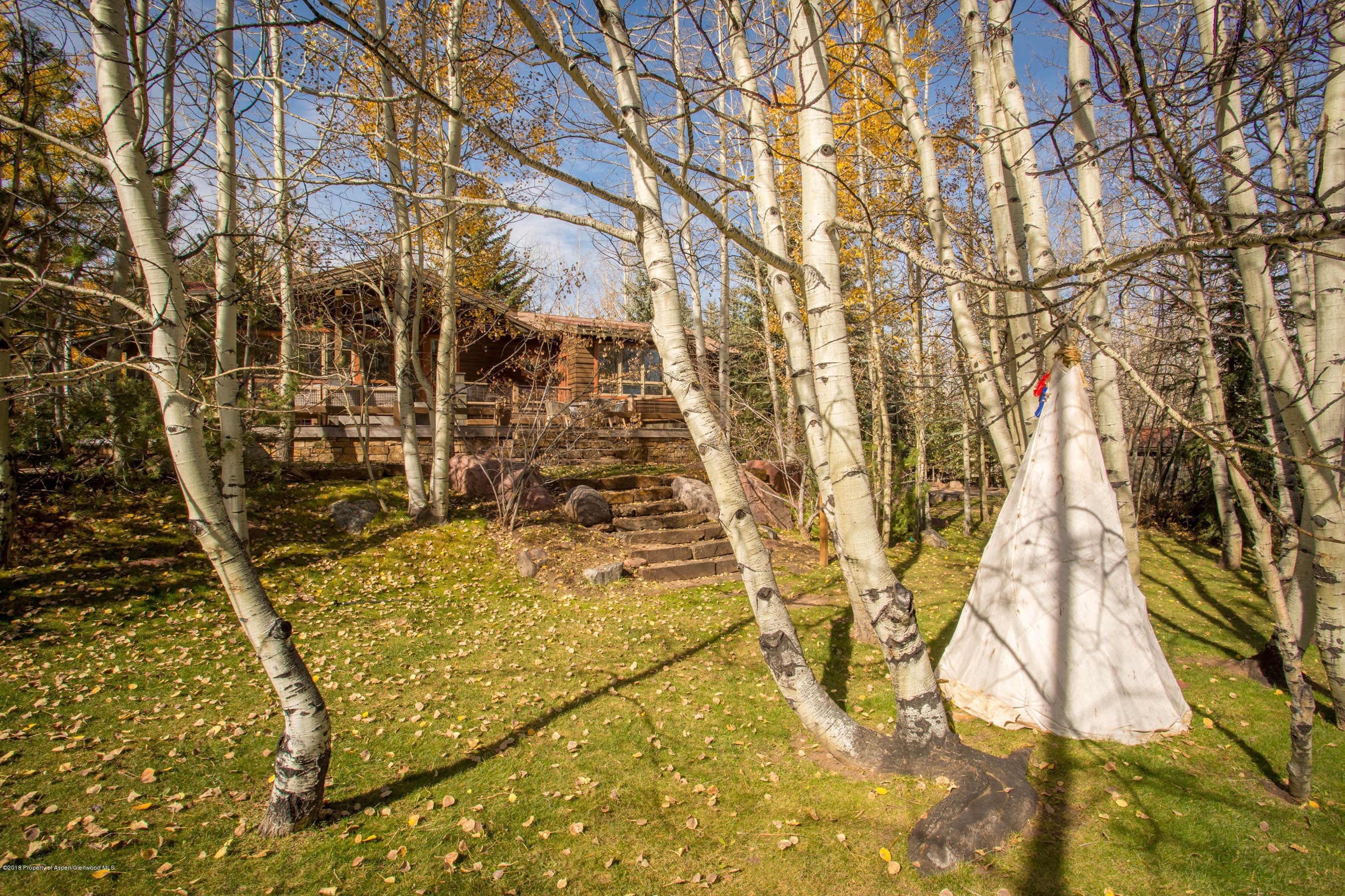 372 Glen Eagles Drive, Aspen, CO 81611 - Photo 35