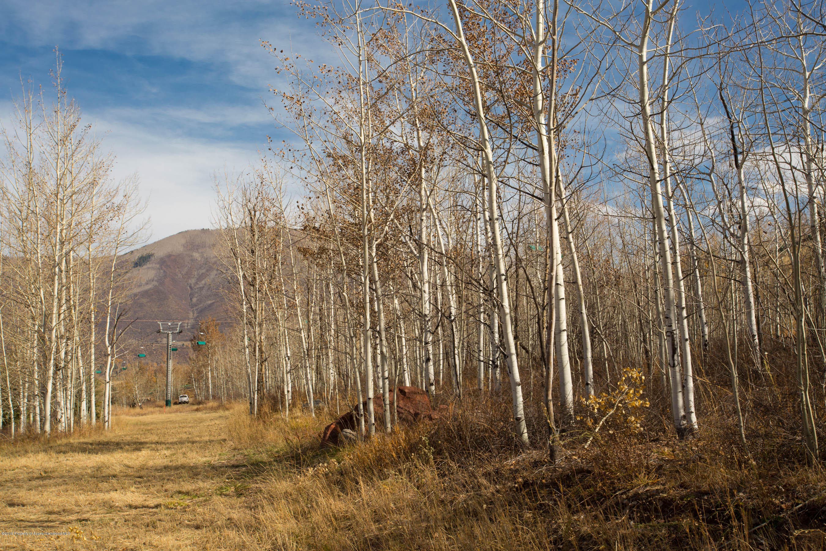 372 Glen Eagles Drive, Aspen, CO 81611 - Photo 33