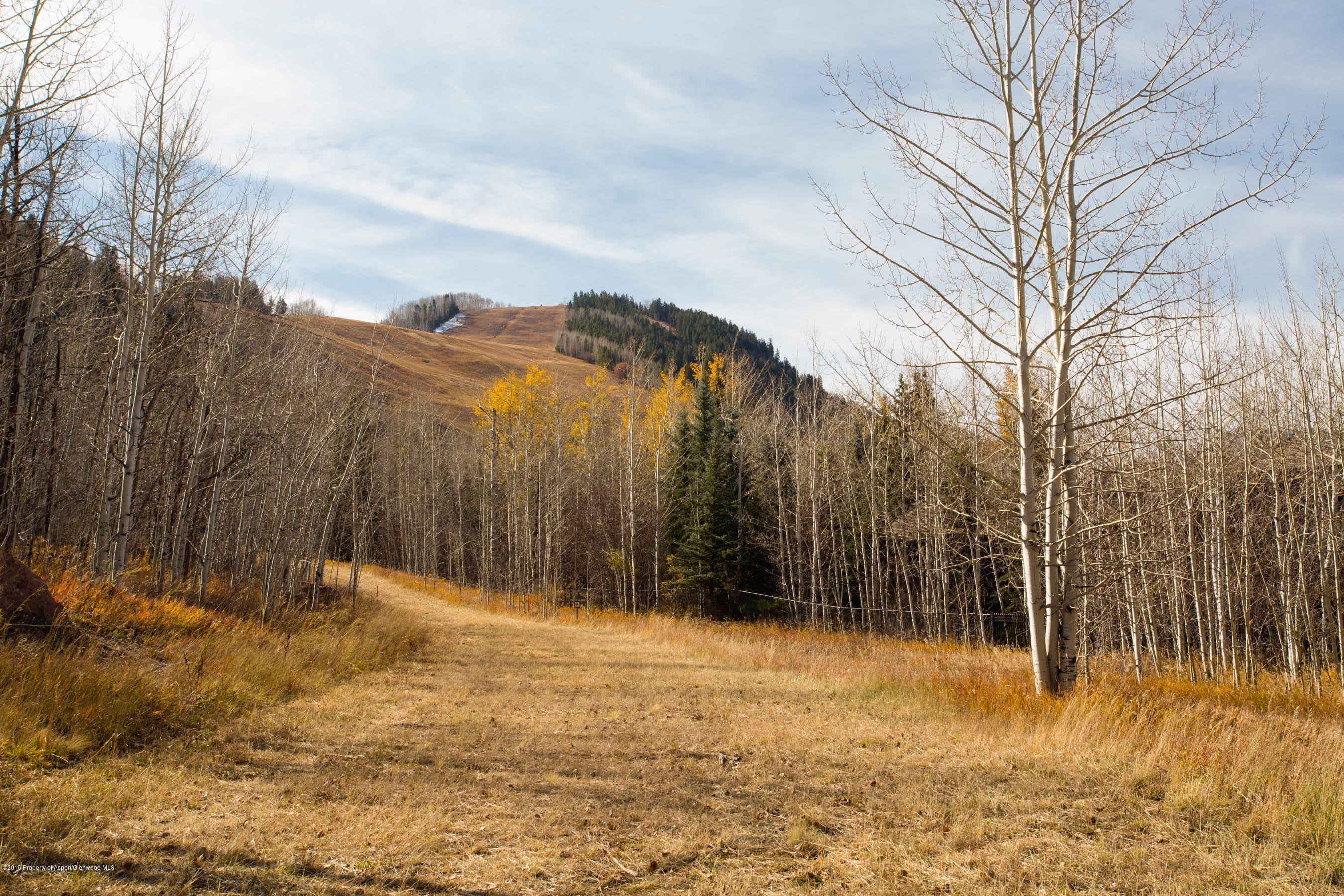 372 Glen Eagles Drive, Aspen, CO 81611 - Photo 34