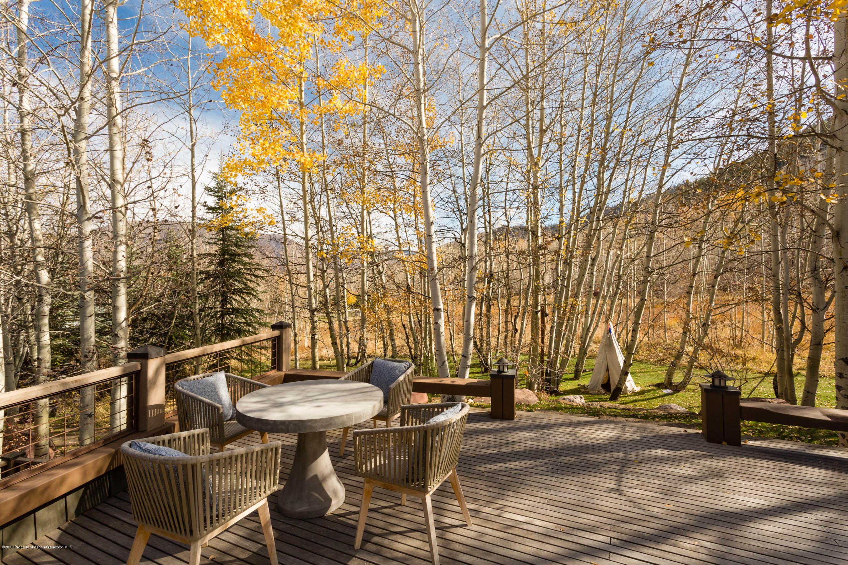 372 Glen Eagles Drive, Aspen, CO 81611 - Photo 29