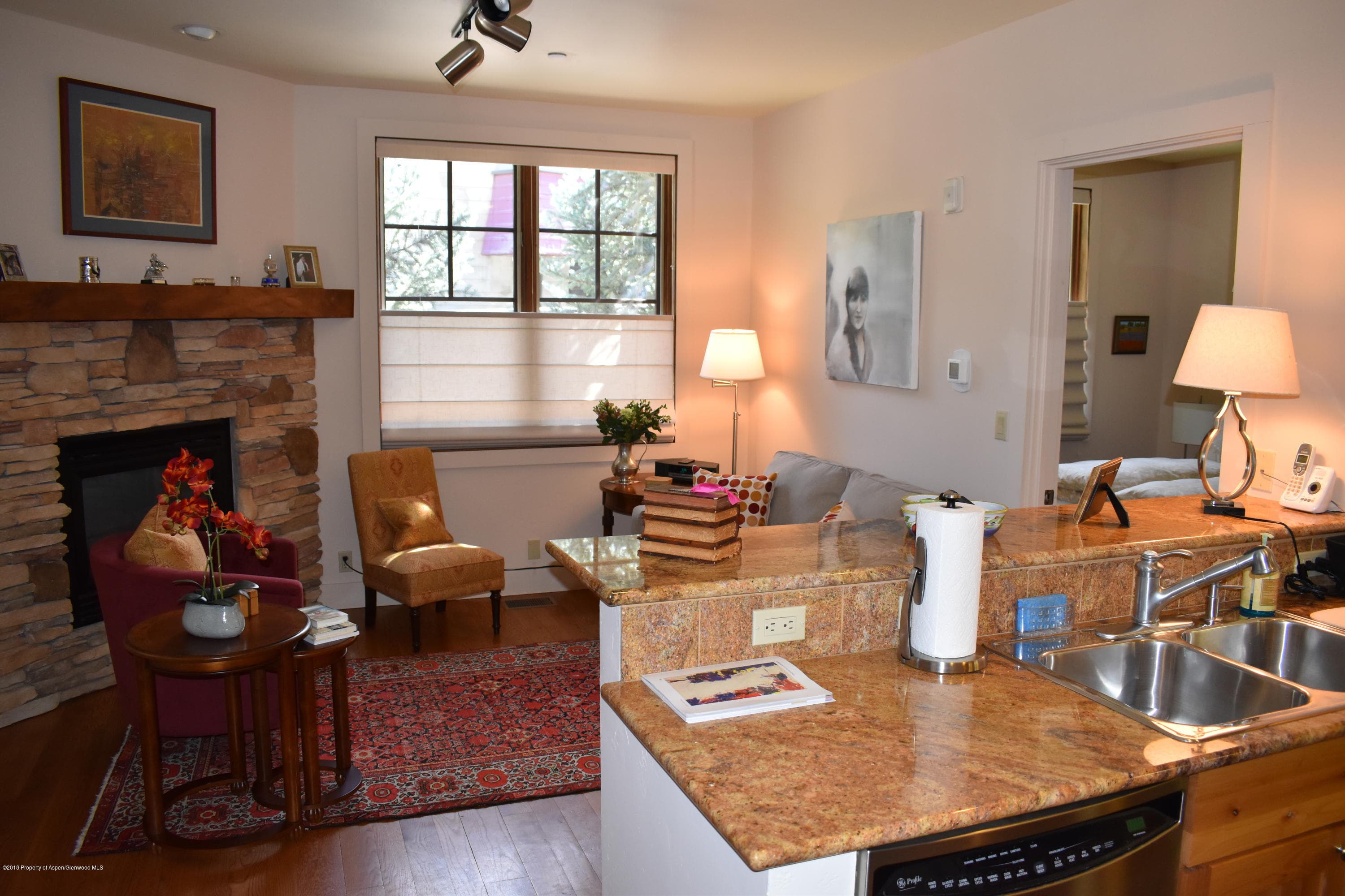 501 W Main Street A101, Aspen, CO 81611 - Photo 1