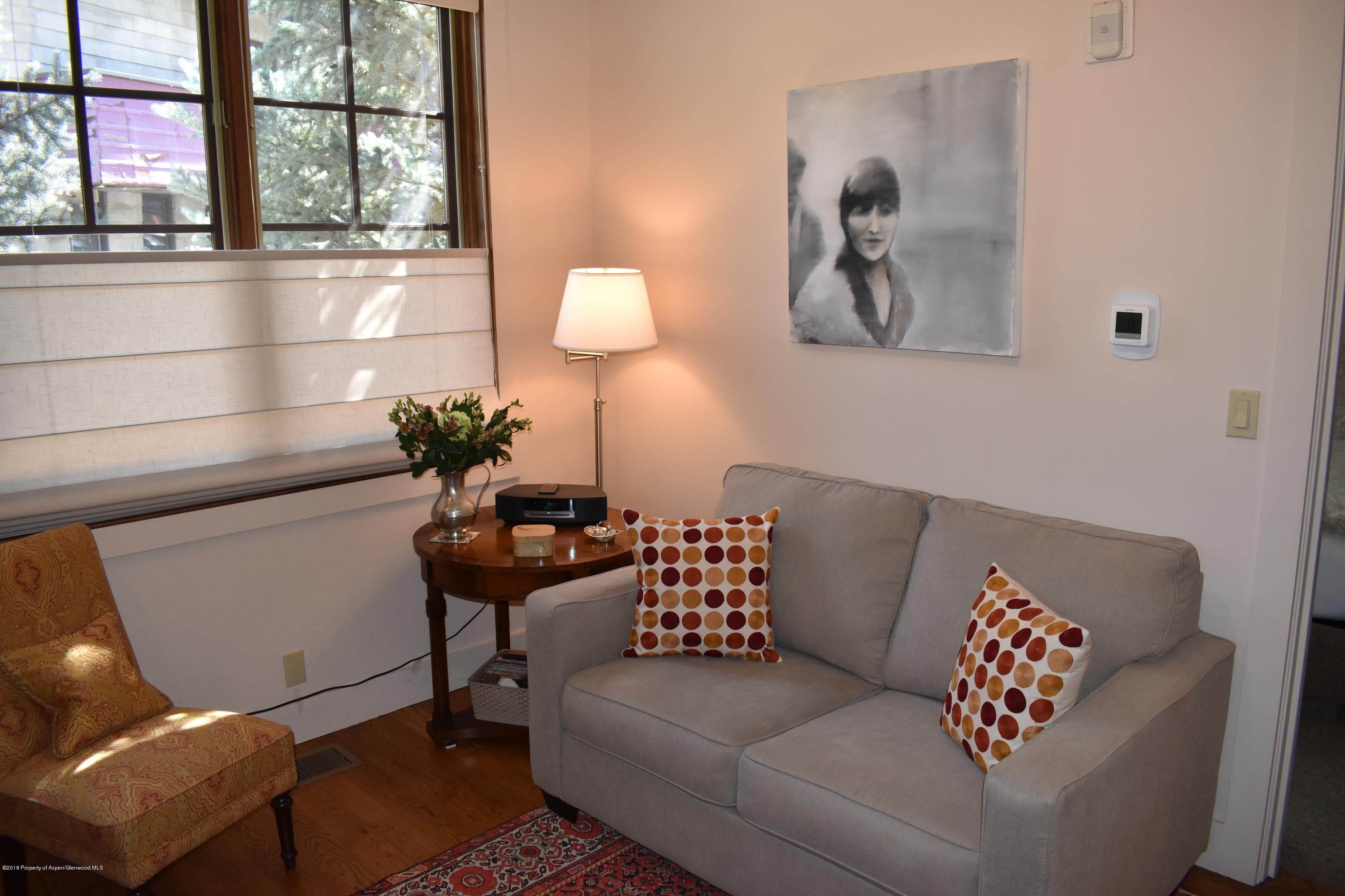 501 W Main Street A101, Aspen, CO 81611 - Photo 2